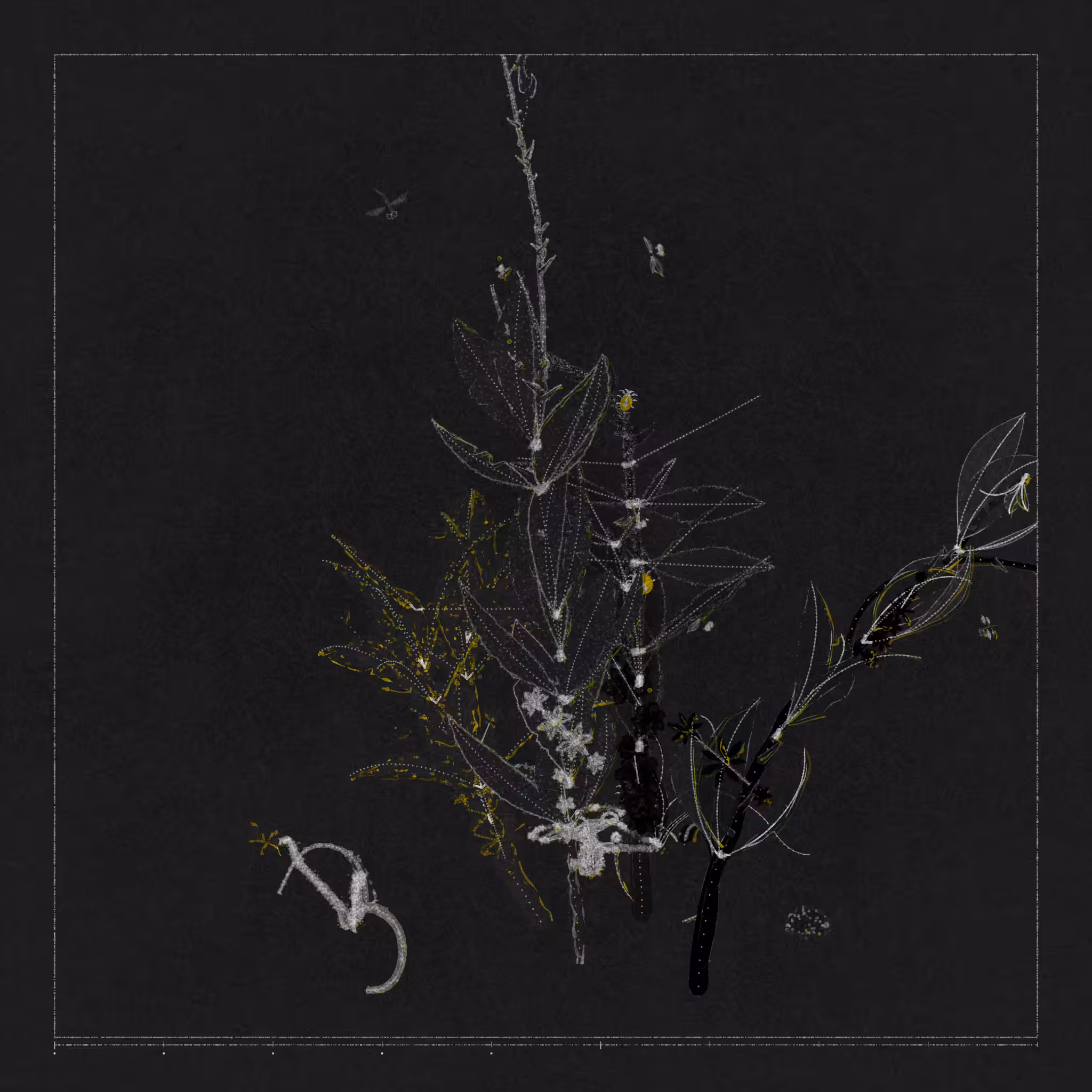 Polypaths | 植徑集 #215
