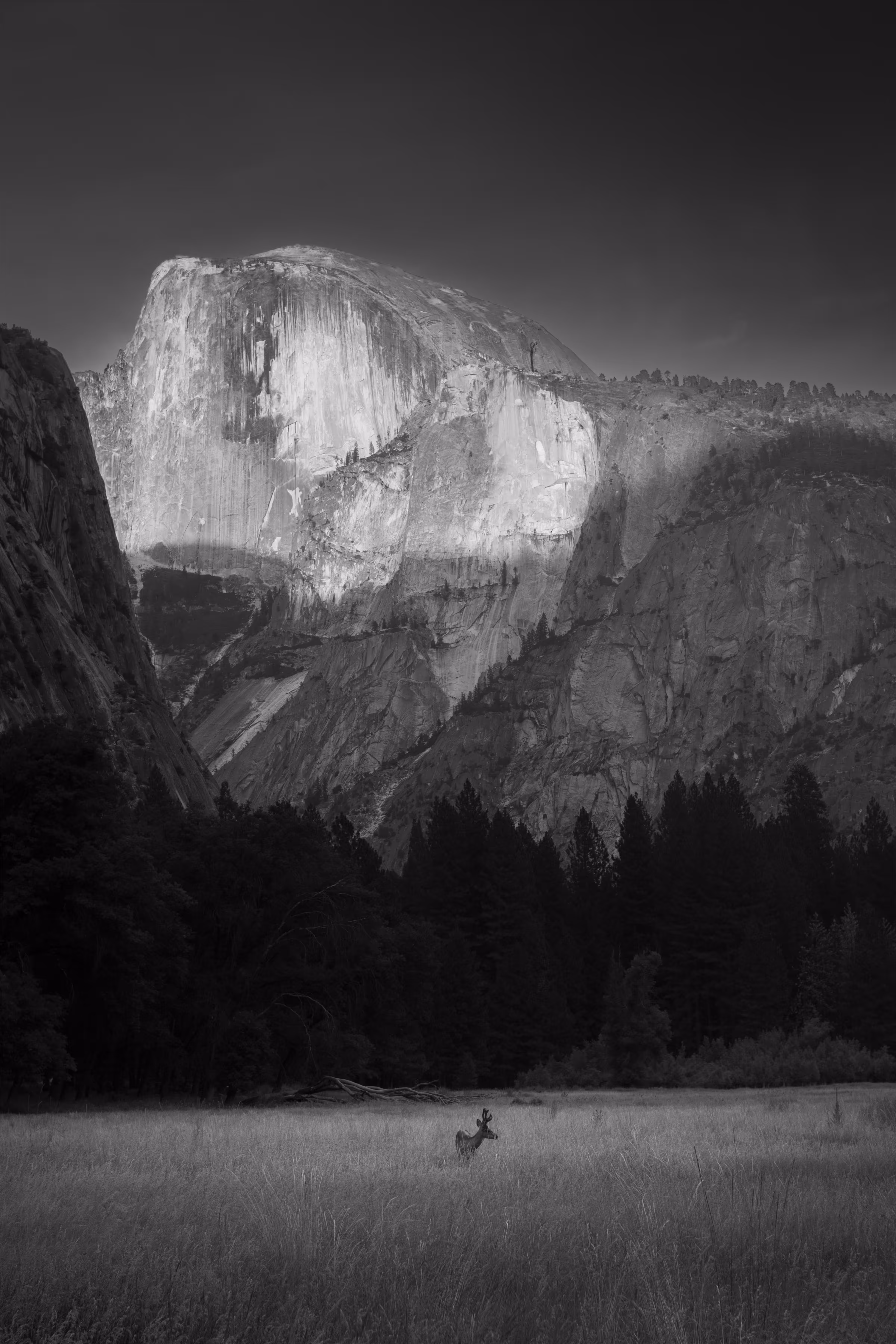 In the Shadow of Granite