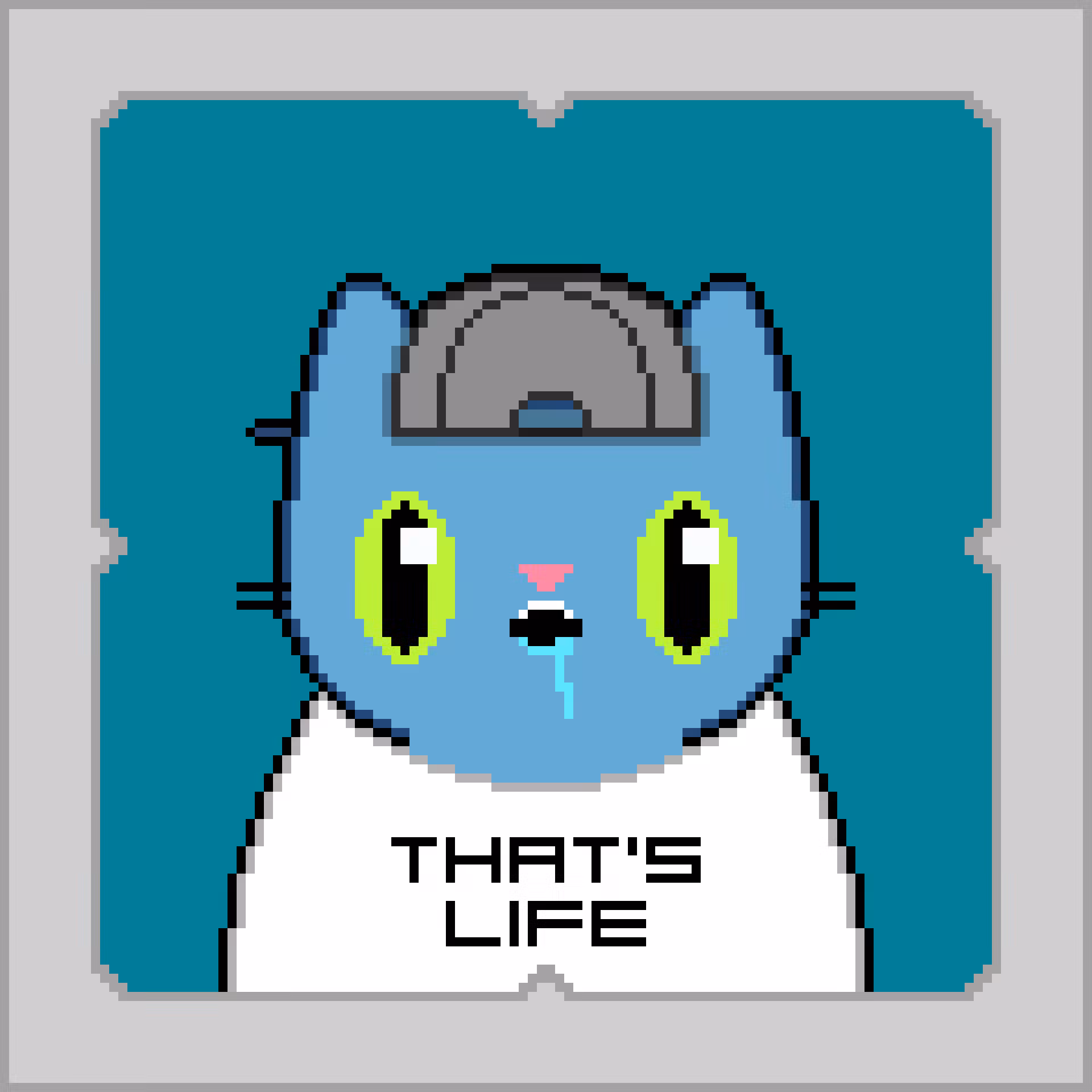 Digi Kat #14