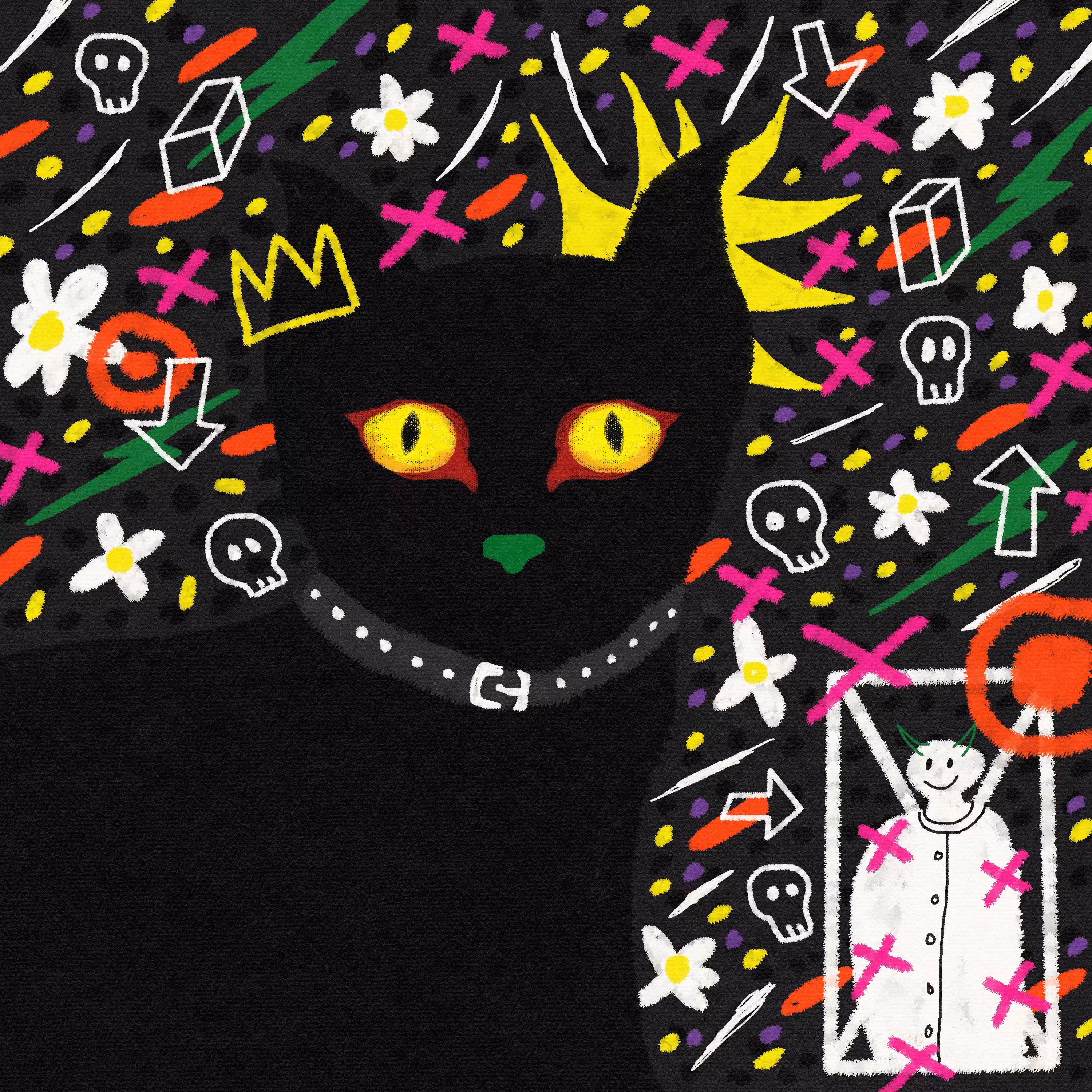 Cat at night