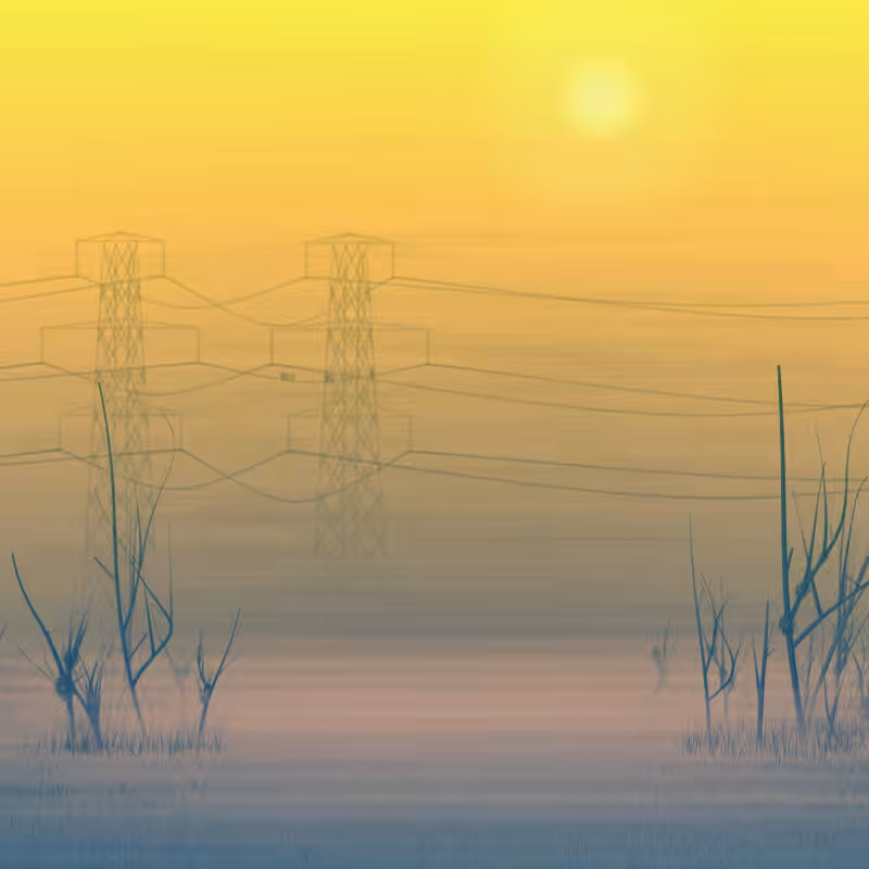 Morning Frost #21
