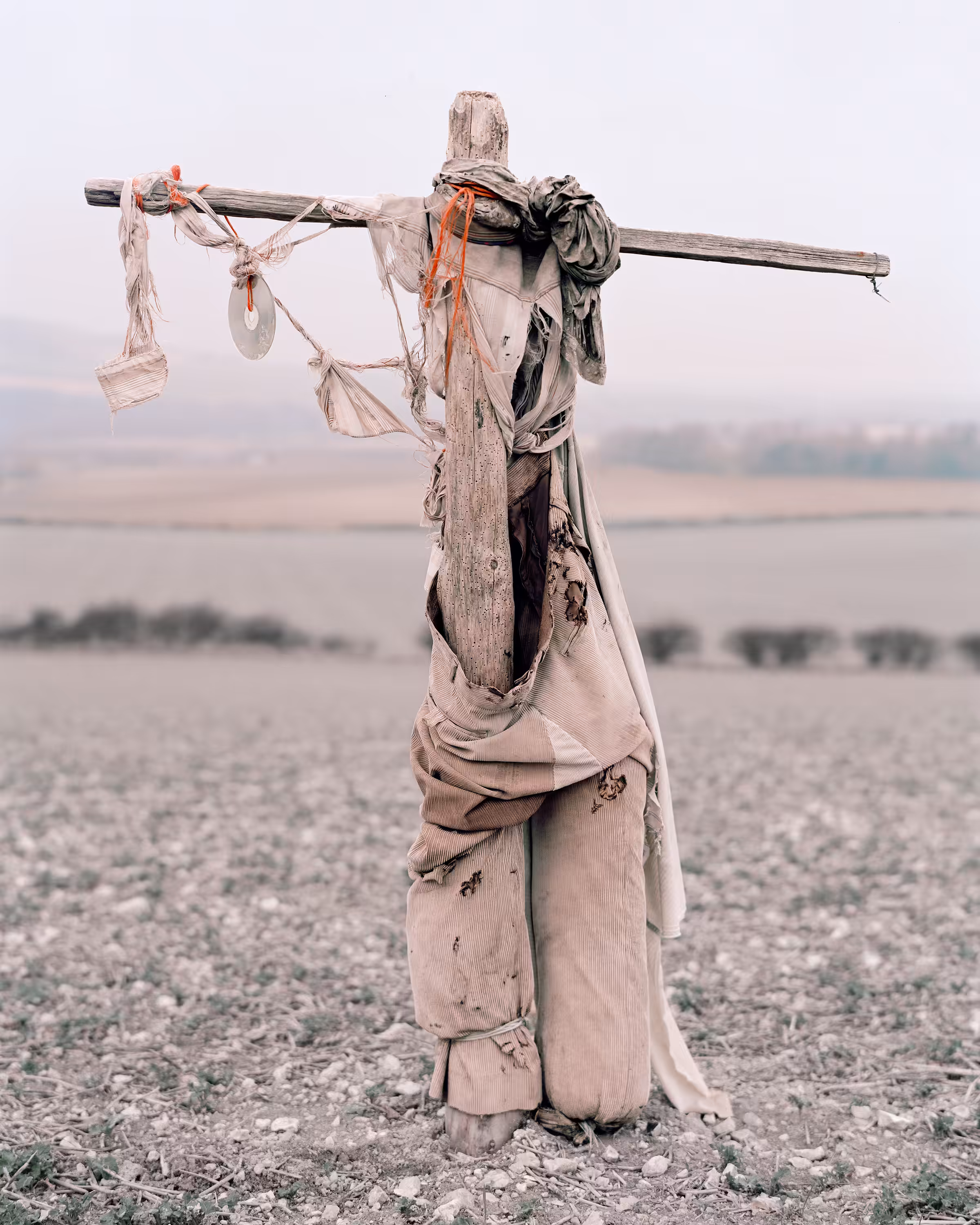 Bastard Countryside #29 Scarecrow