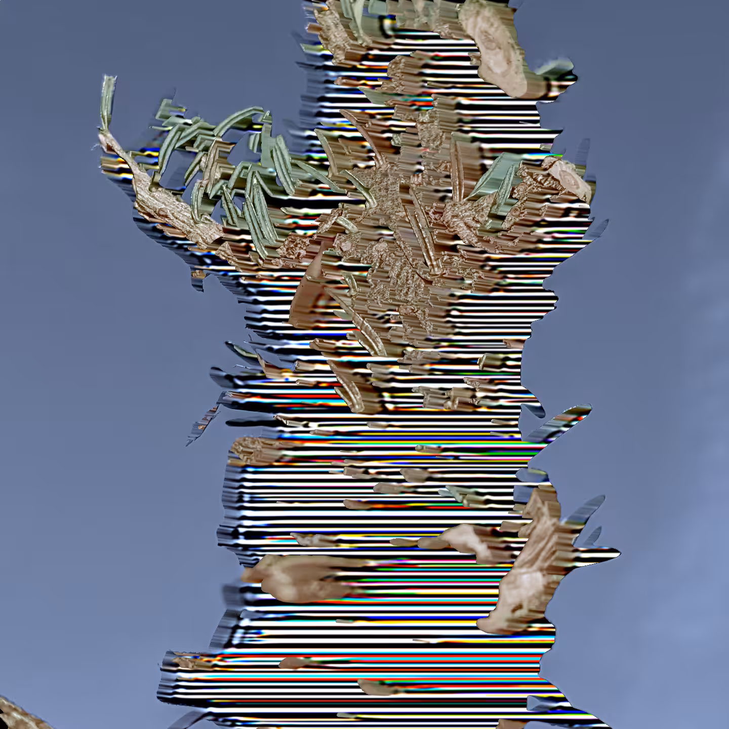YardWork: processed spruce.png one