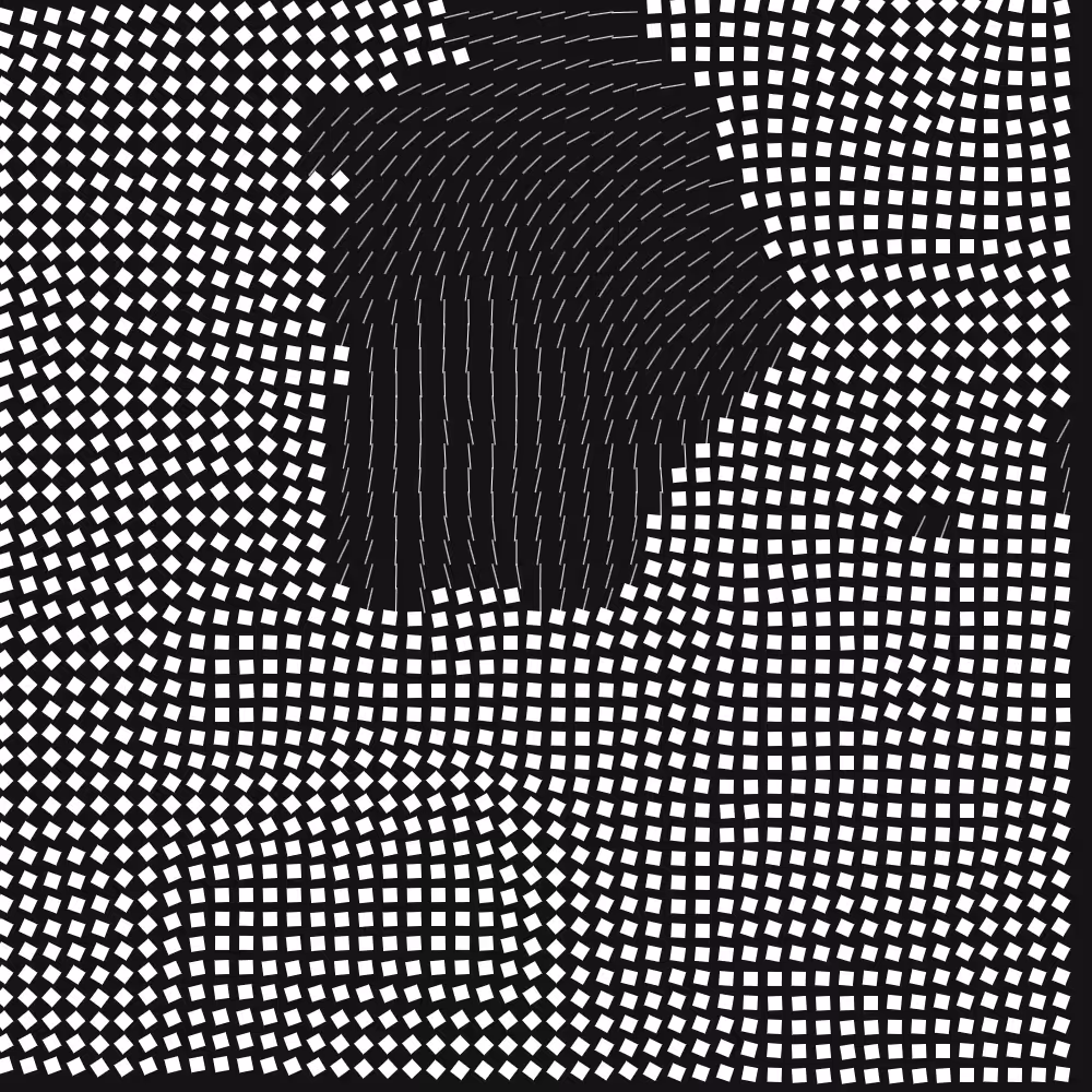 Geometric Fluidity #312