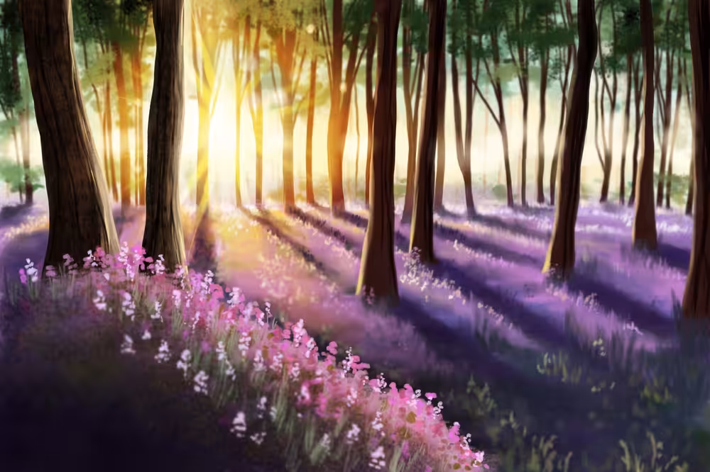 Spring Forest