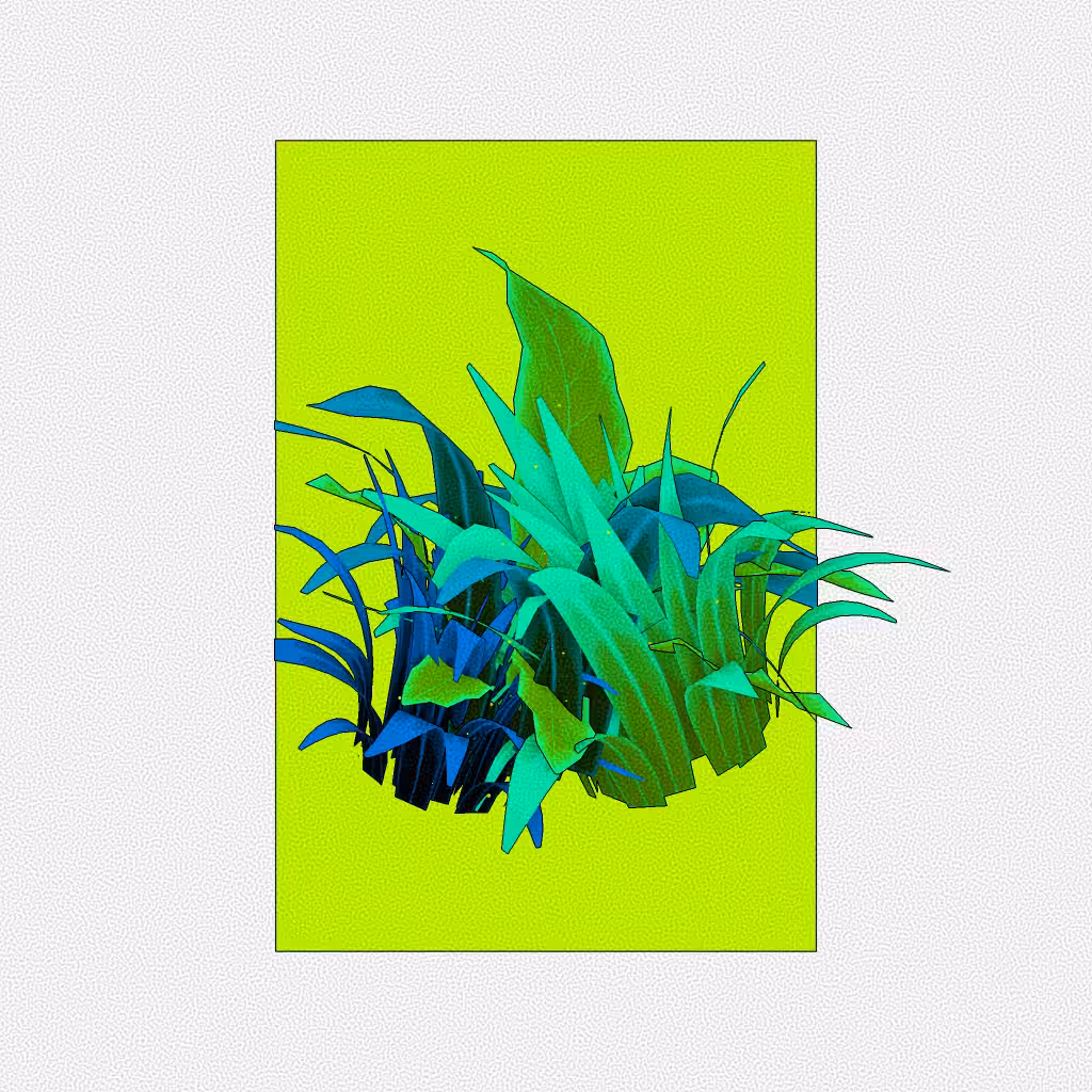 Botany #248