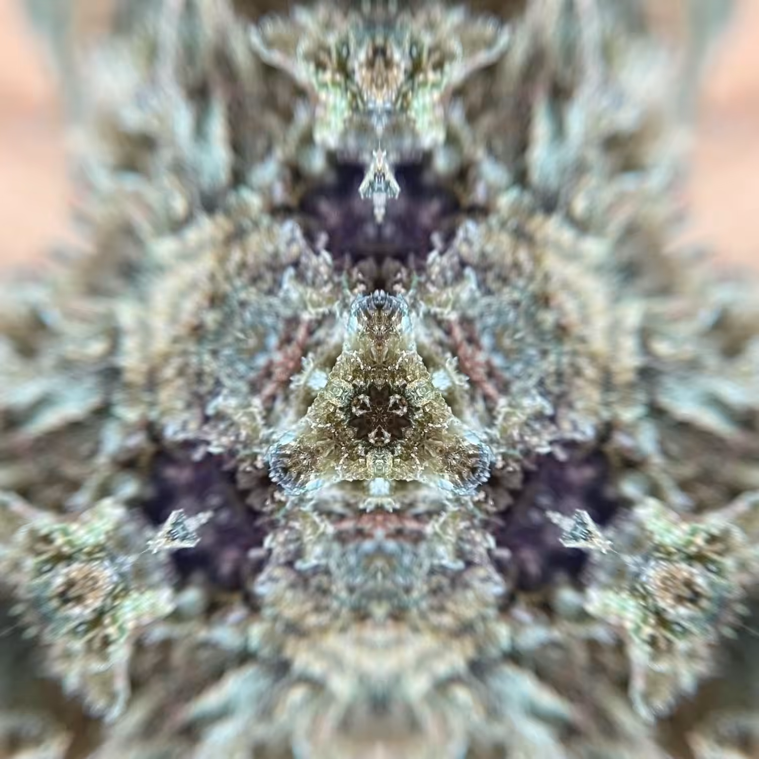Flower Mandala 12