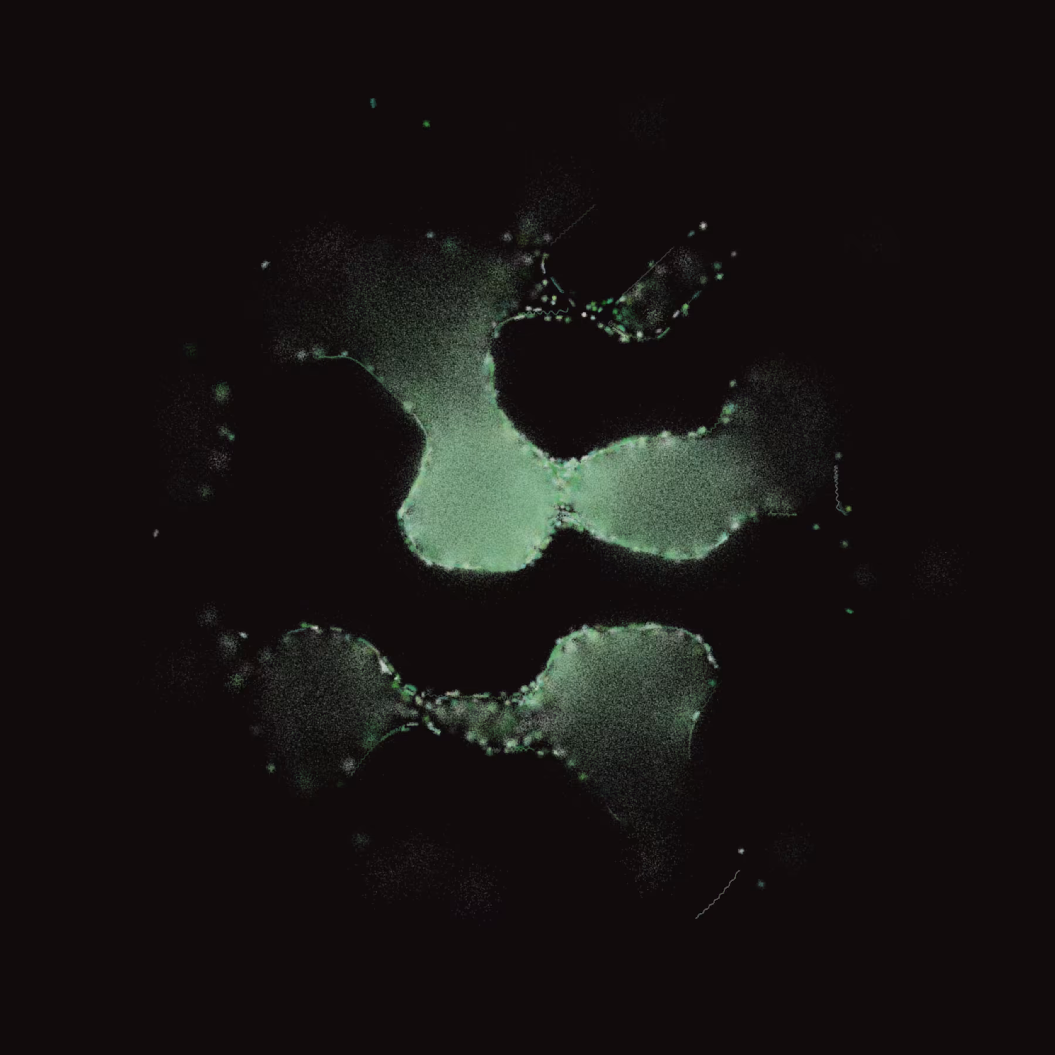 Membrane #6