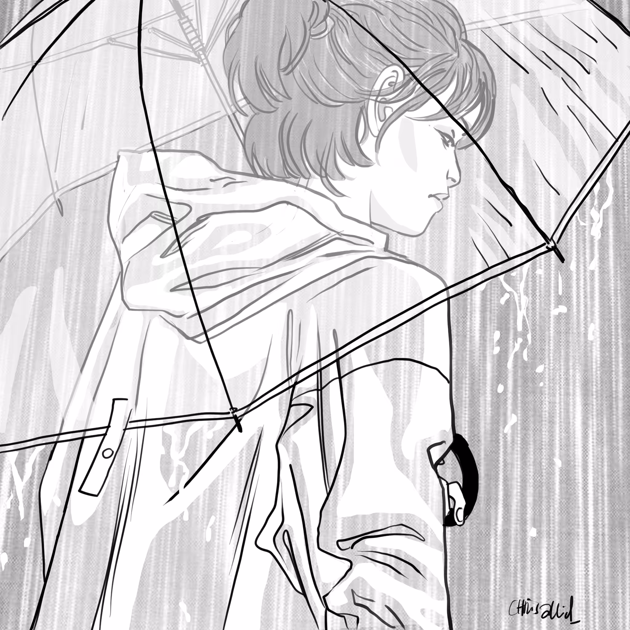 THE UMBRELLA