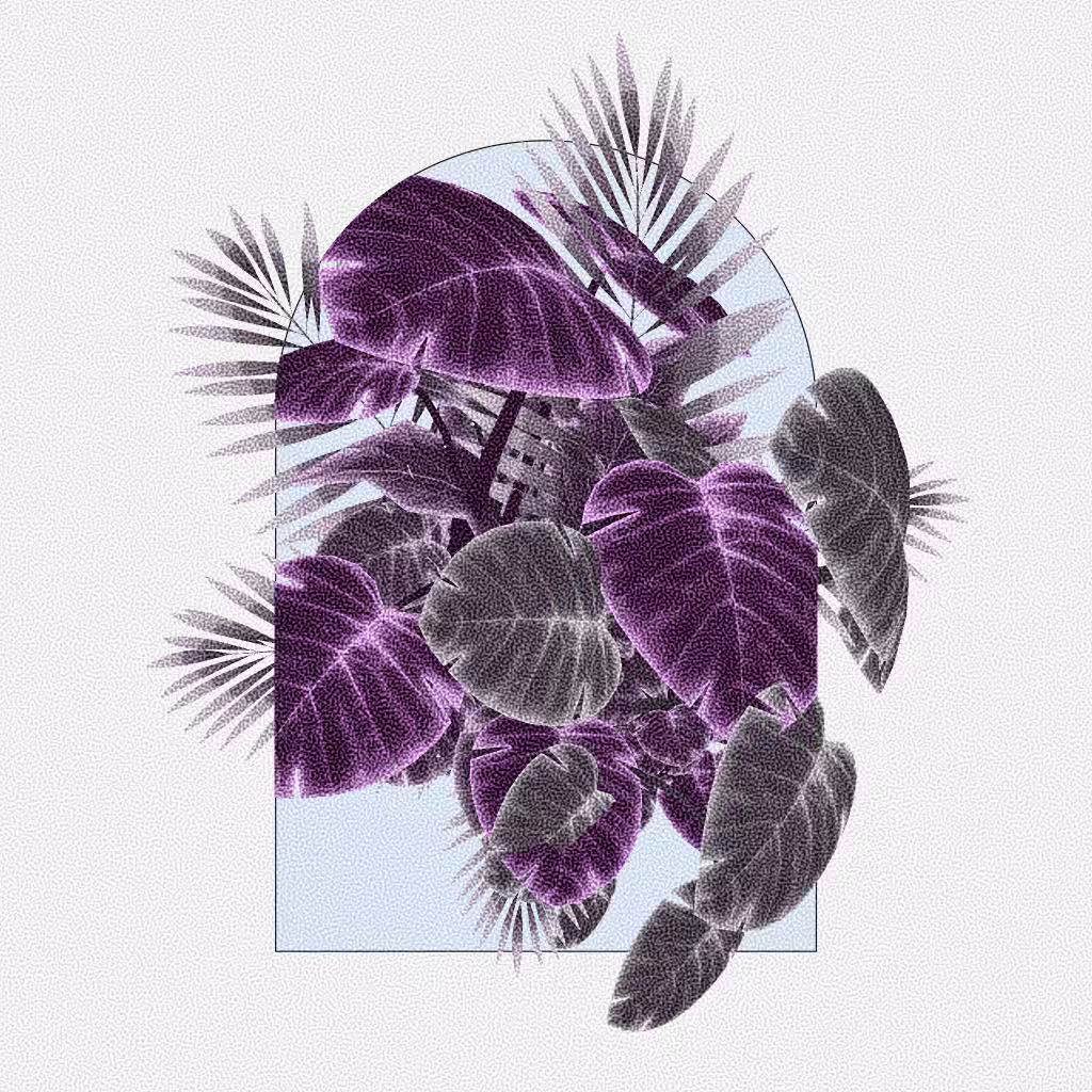 Botany #74