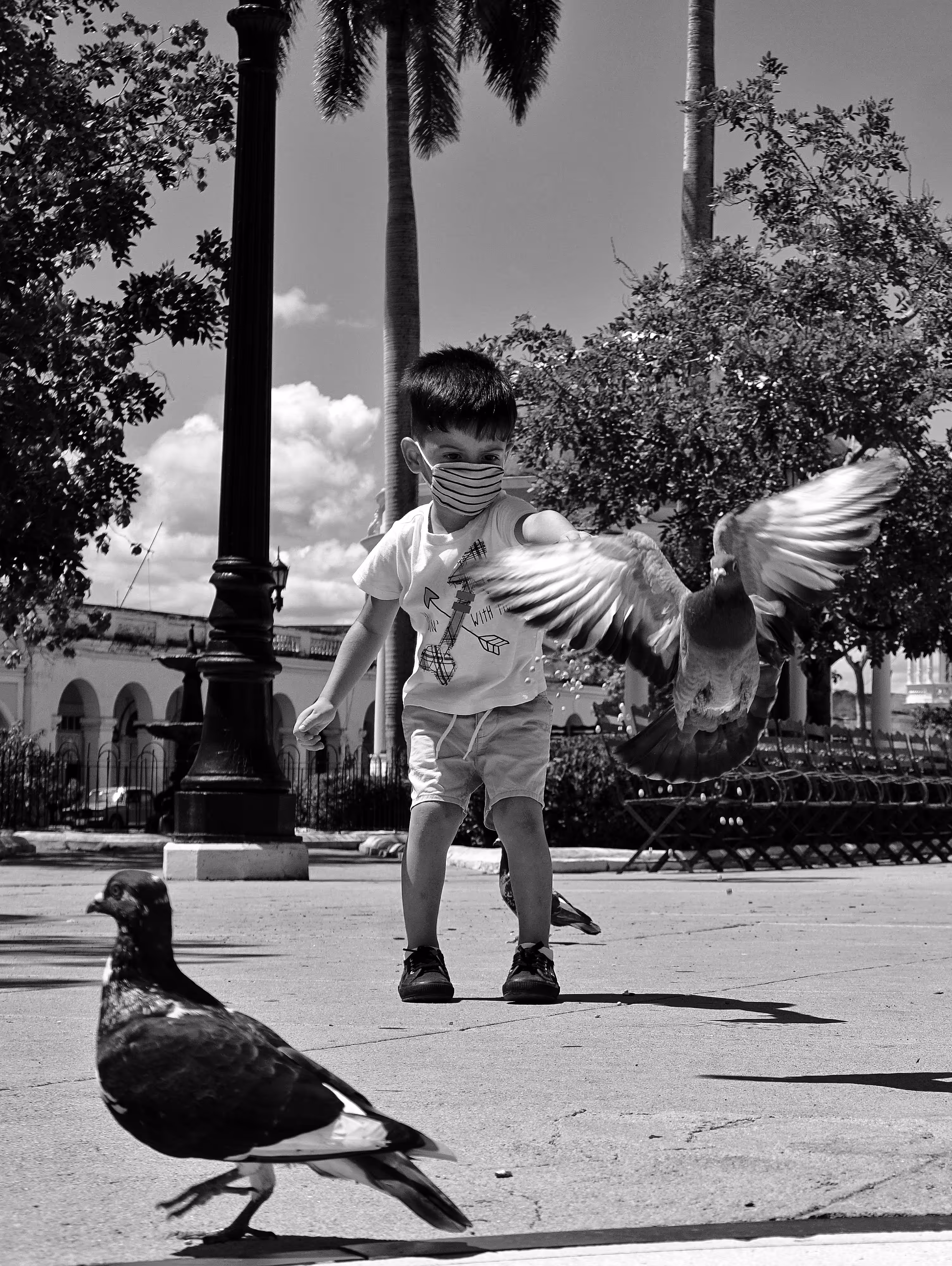 Heading to freedom