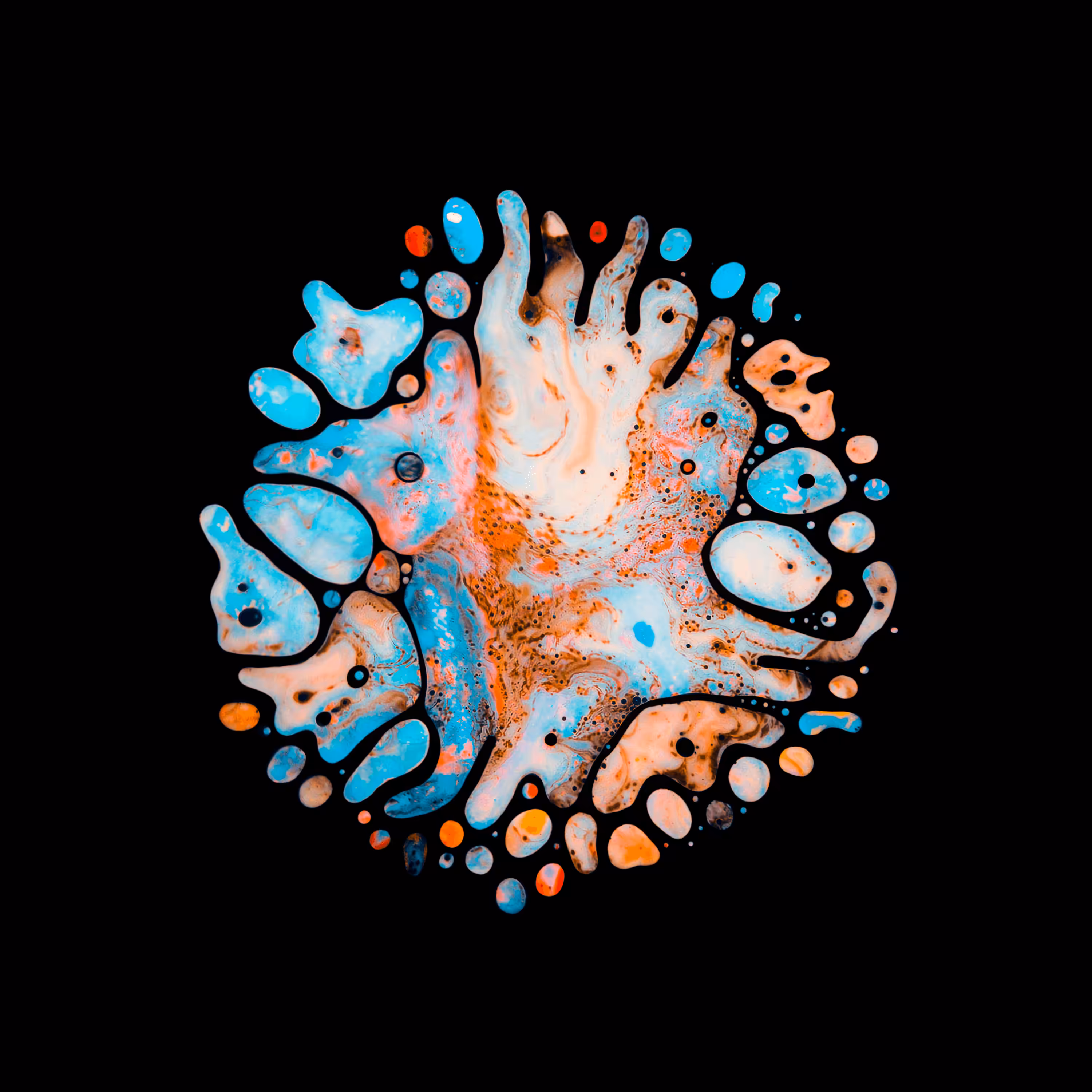 Haematopoiesis #177