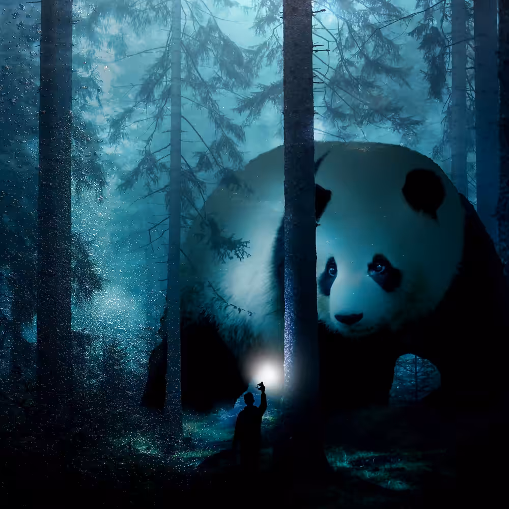 Giant Panda in a Forest