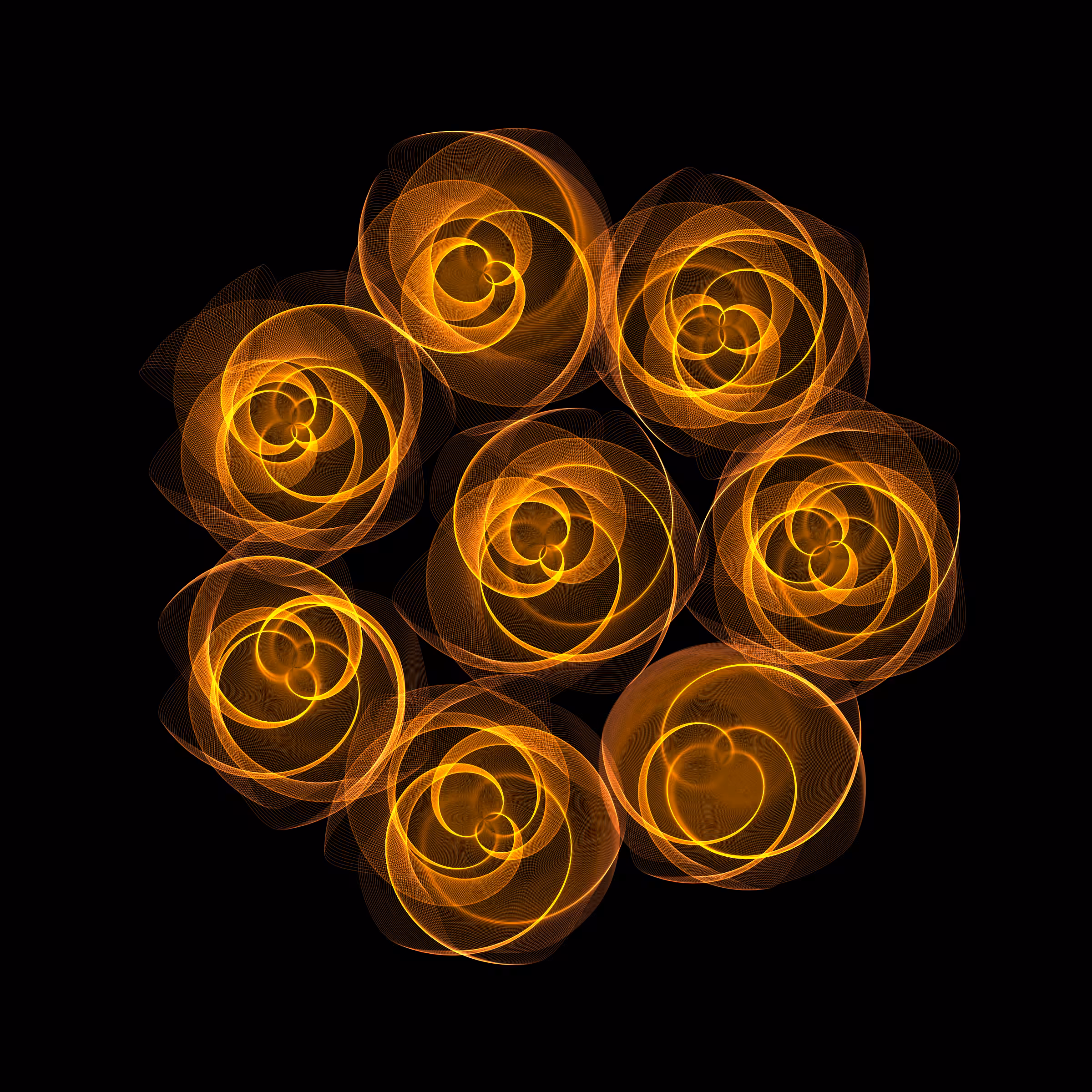 Flowers #5798