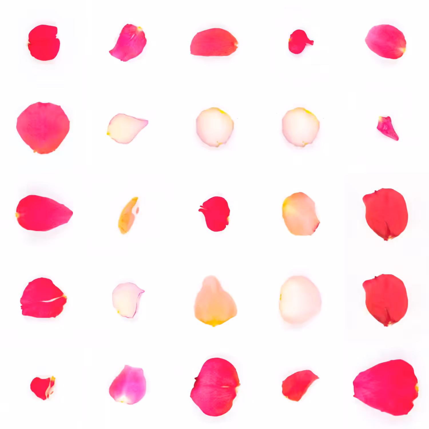 Infinite Petals 5x5#20532