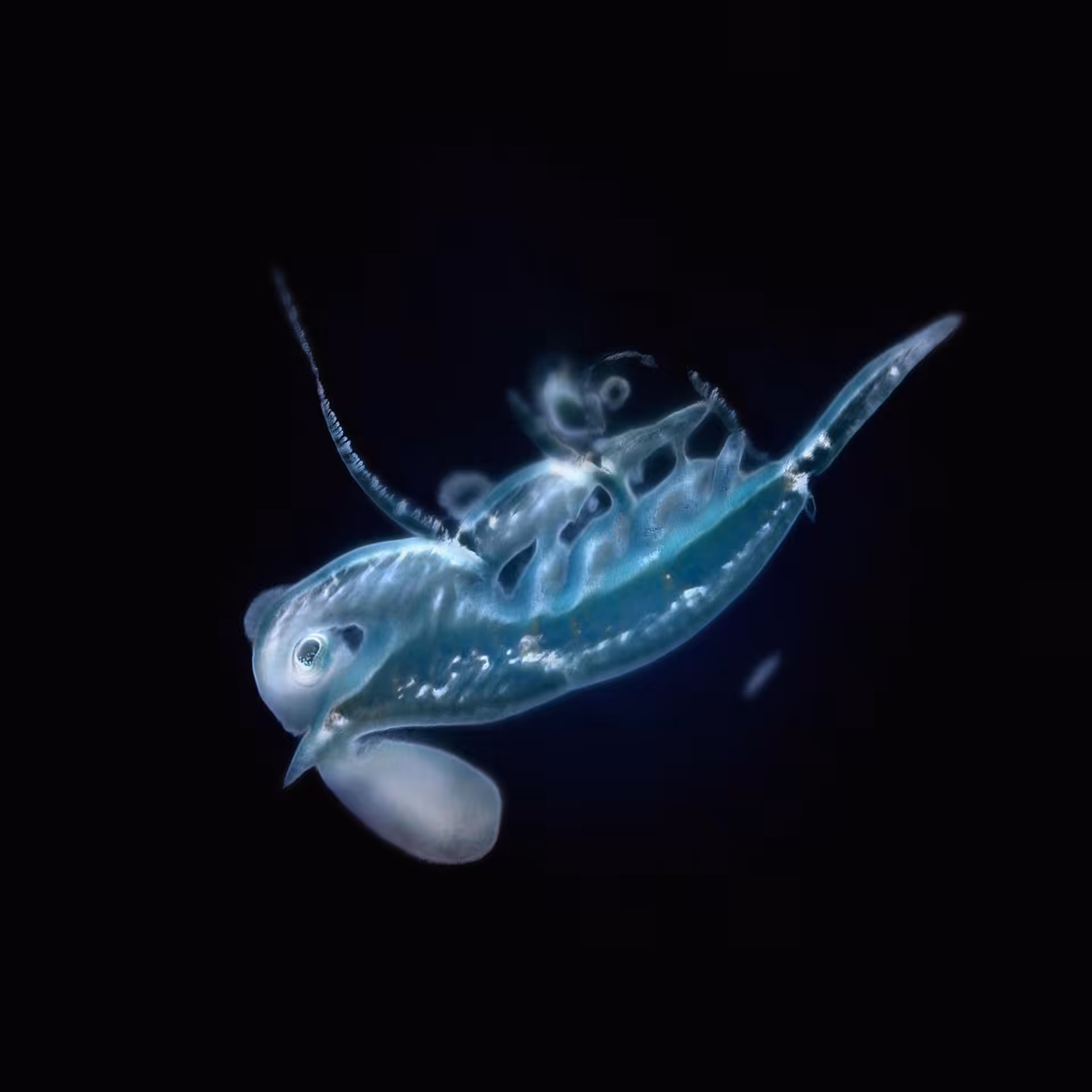 Sperma 18