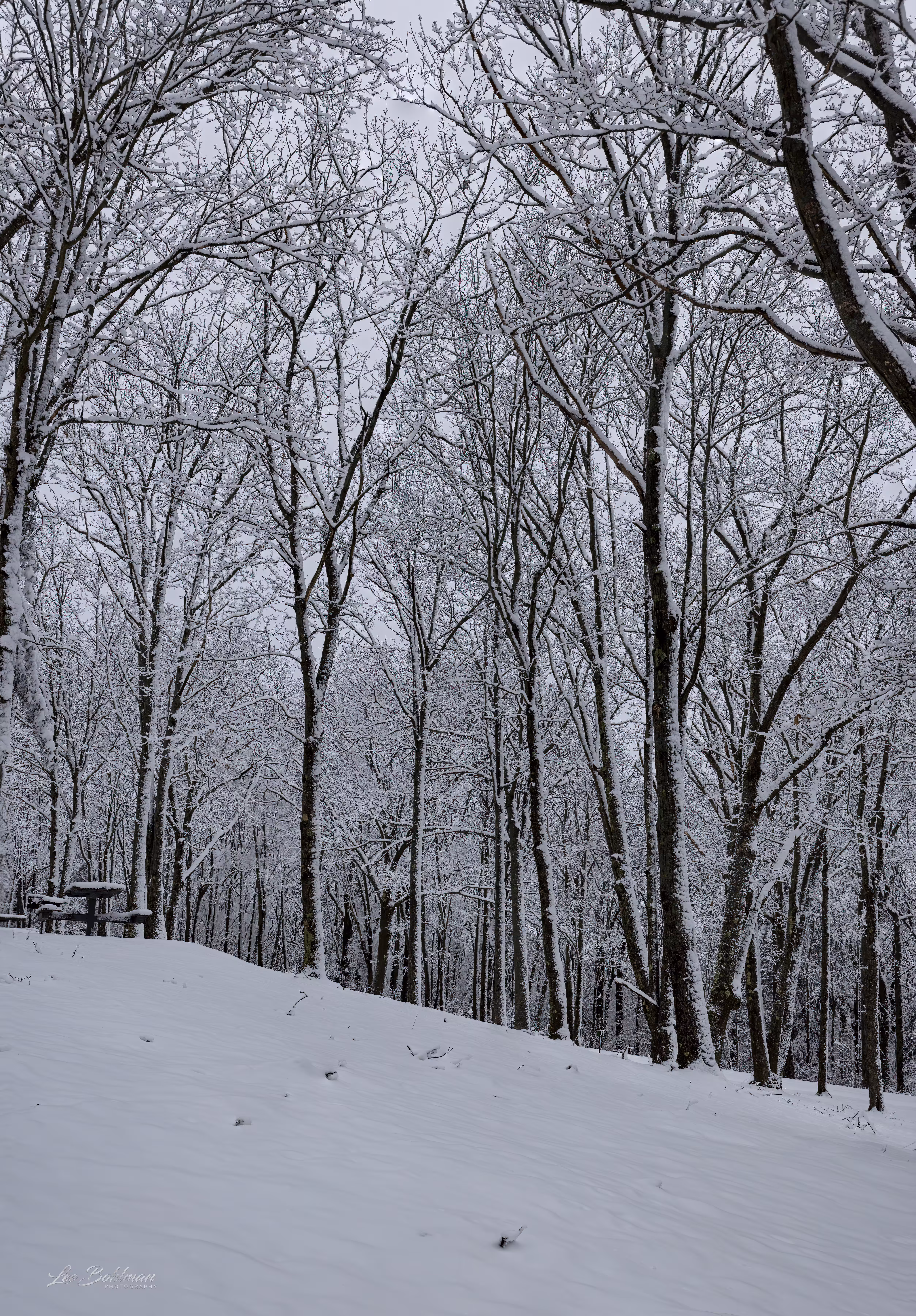 Winter Silence