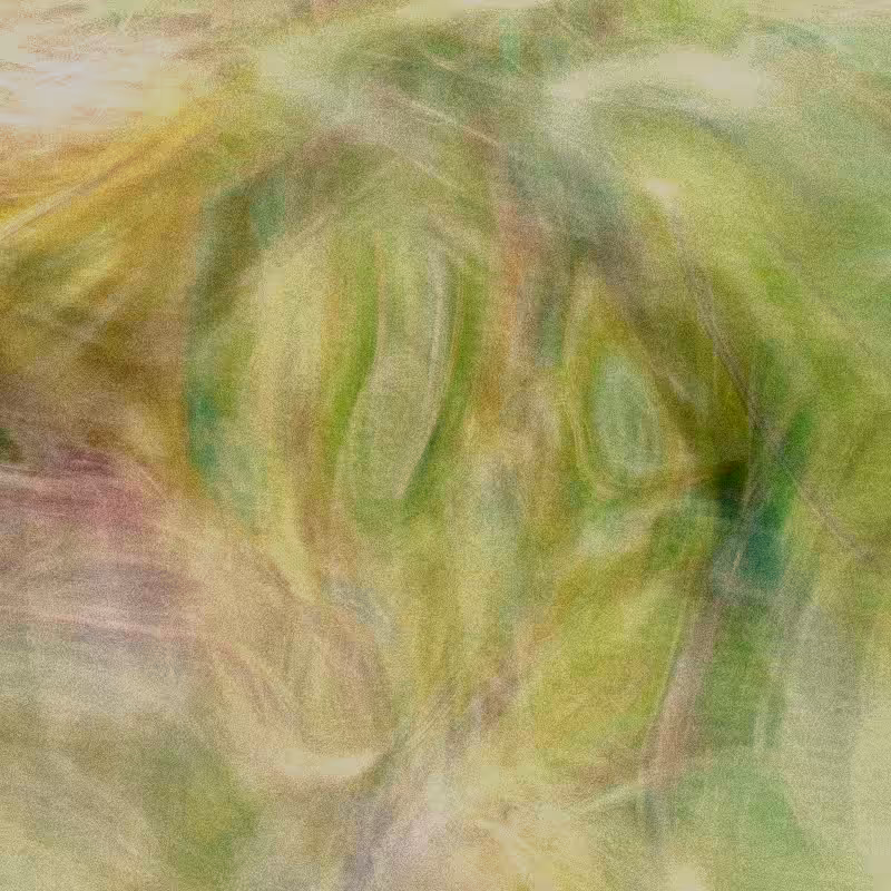 Pleroma #33