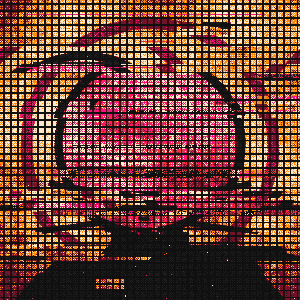 XAT #1249