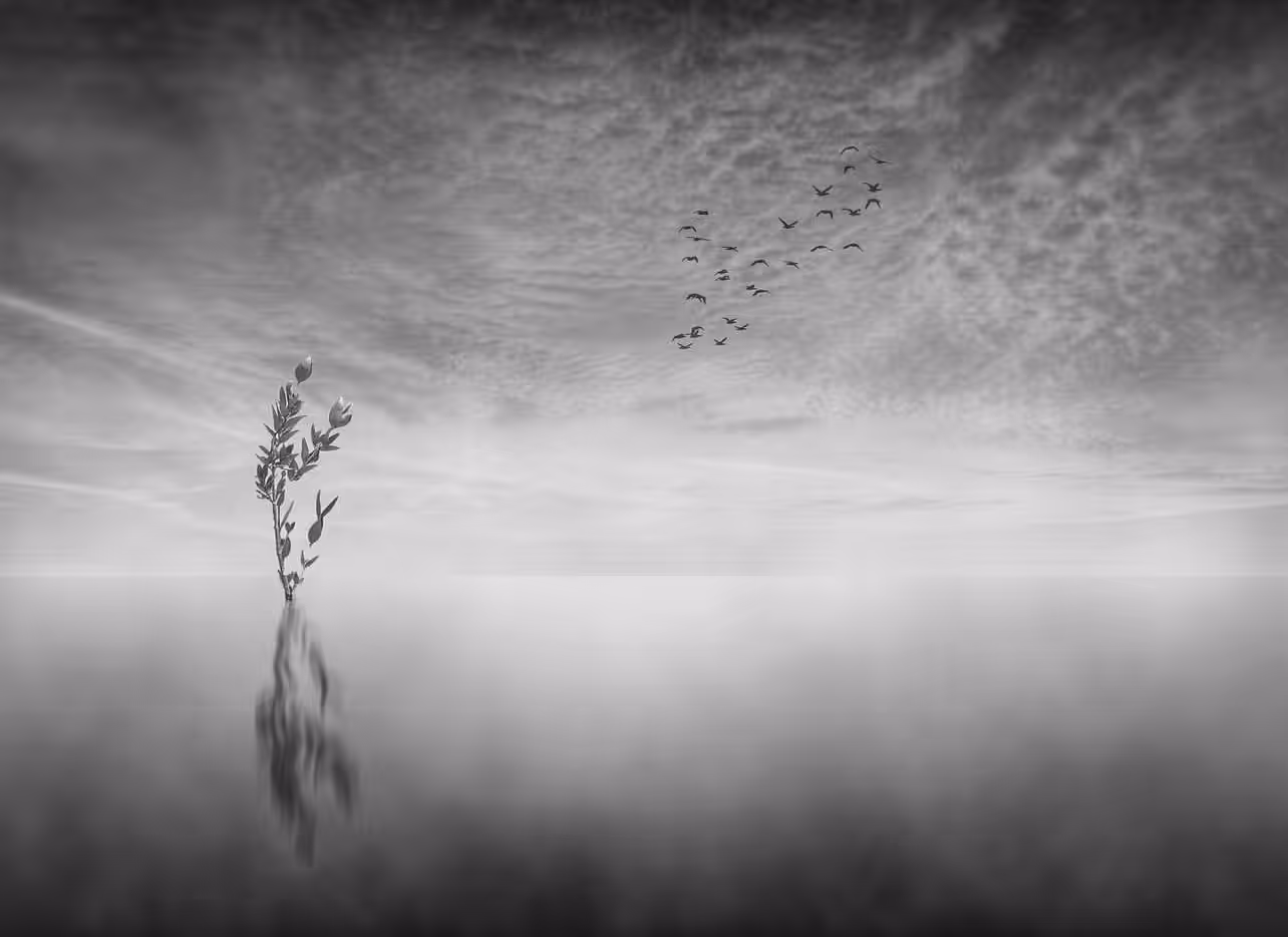 Silence 
