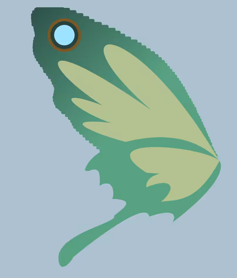 butter+fly #12