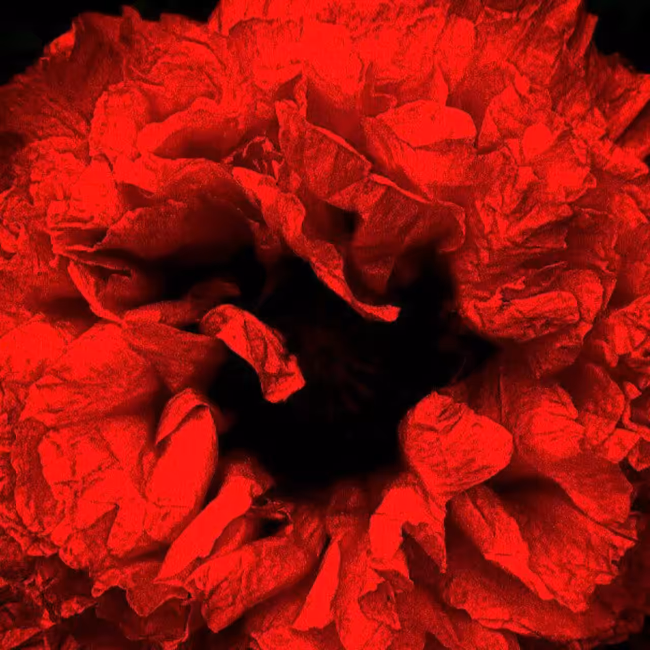 Blooming of the Soul