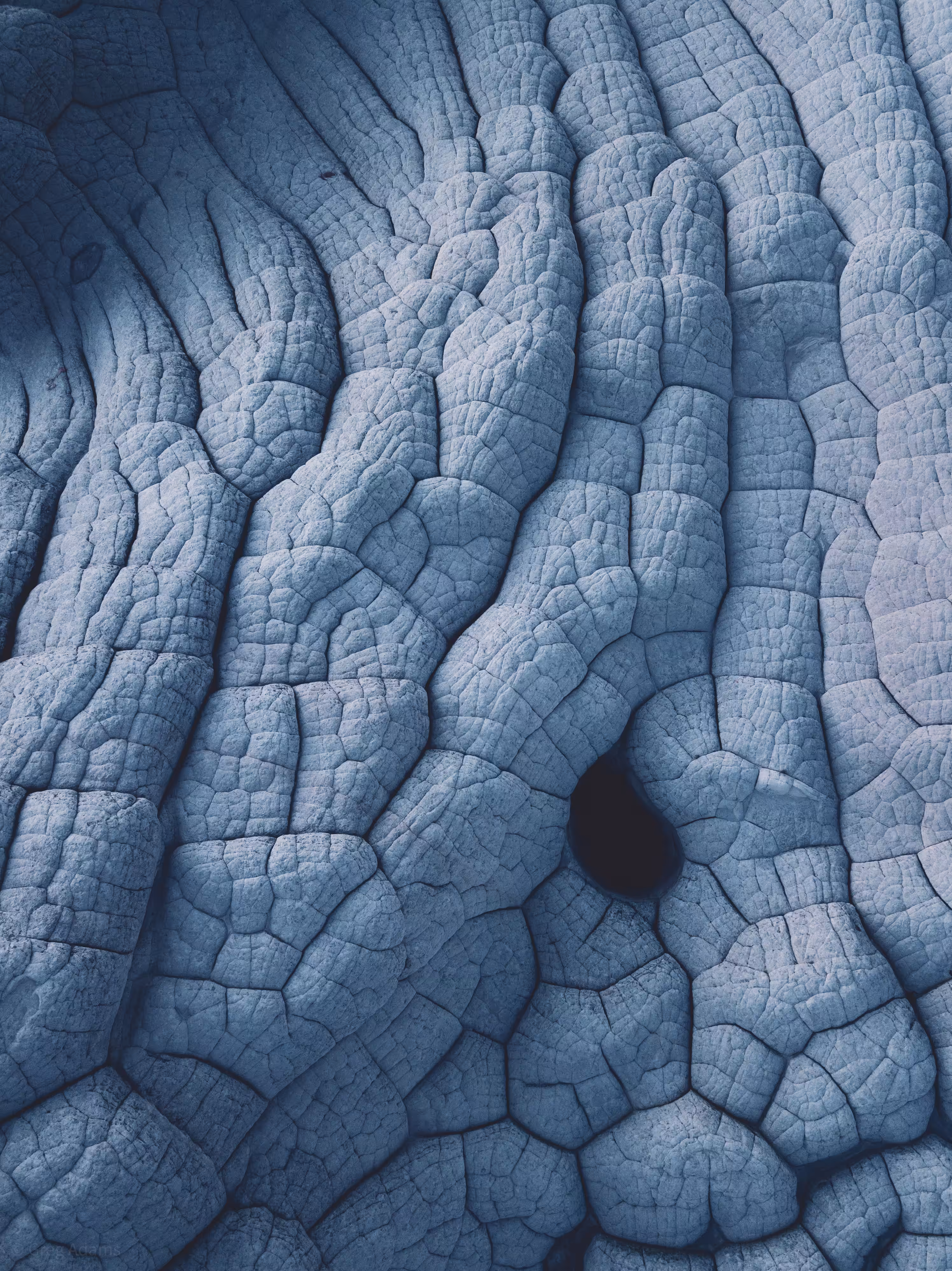 Texture Buffet