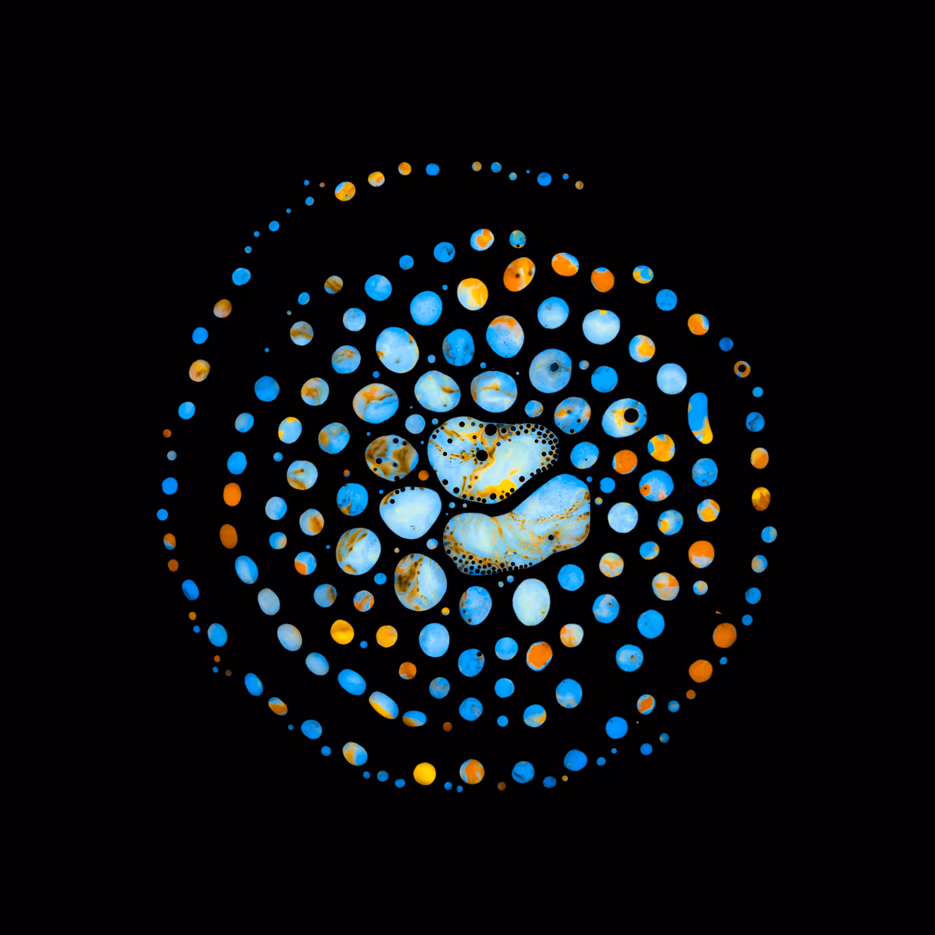 Haematopoiesis #224