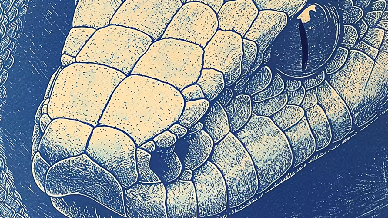 WIP 🐍