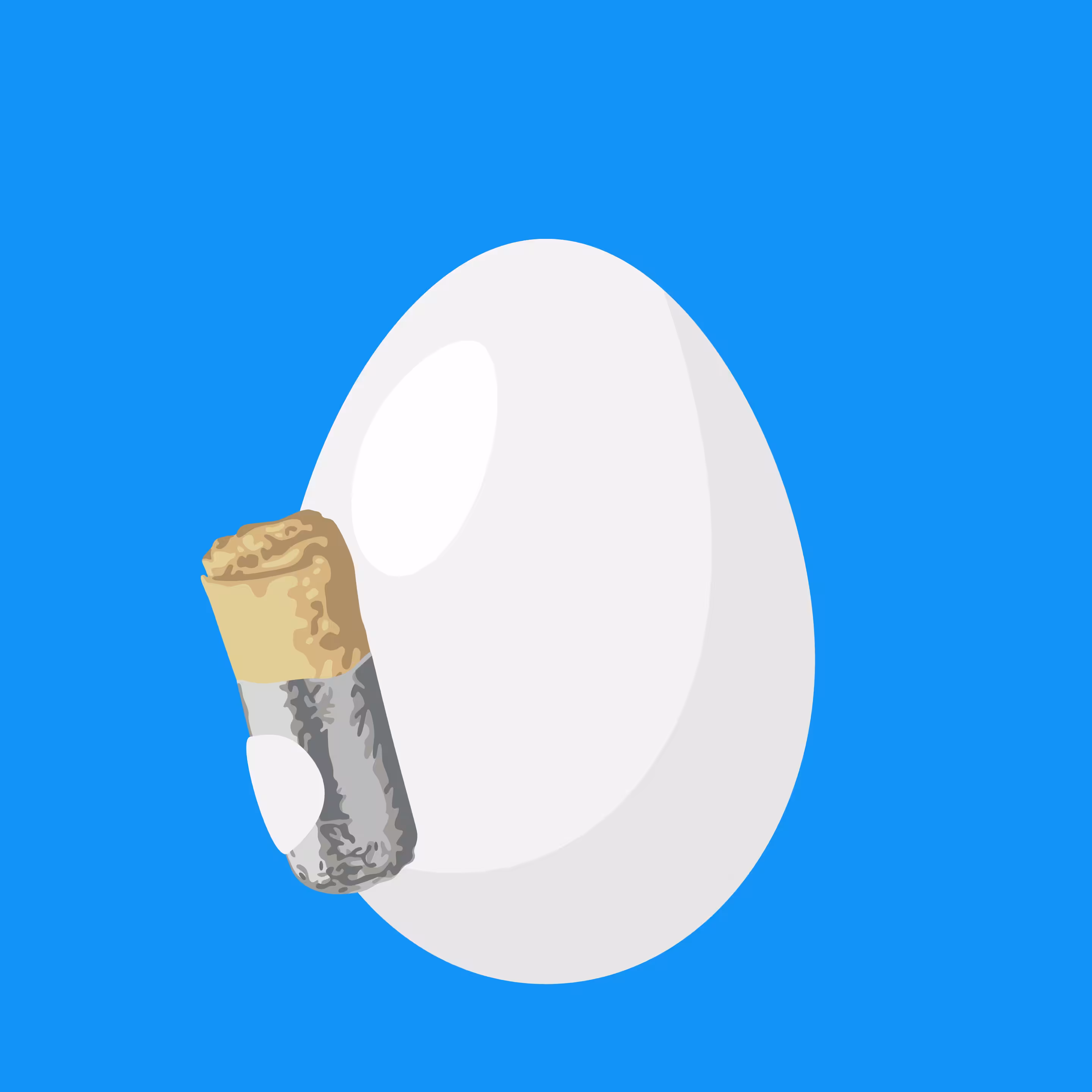 Burrito Egg