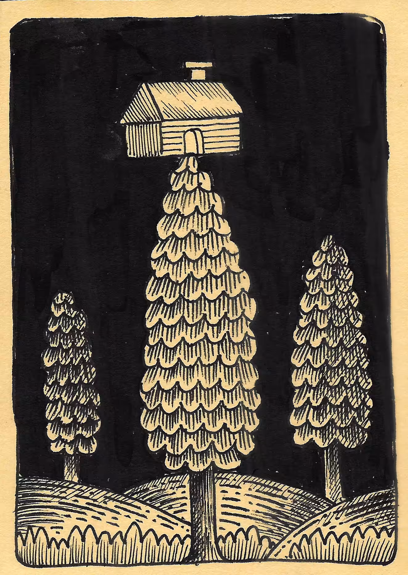 Pine Tree