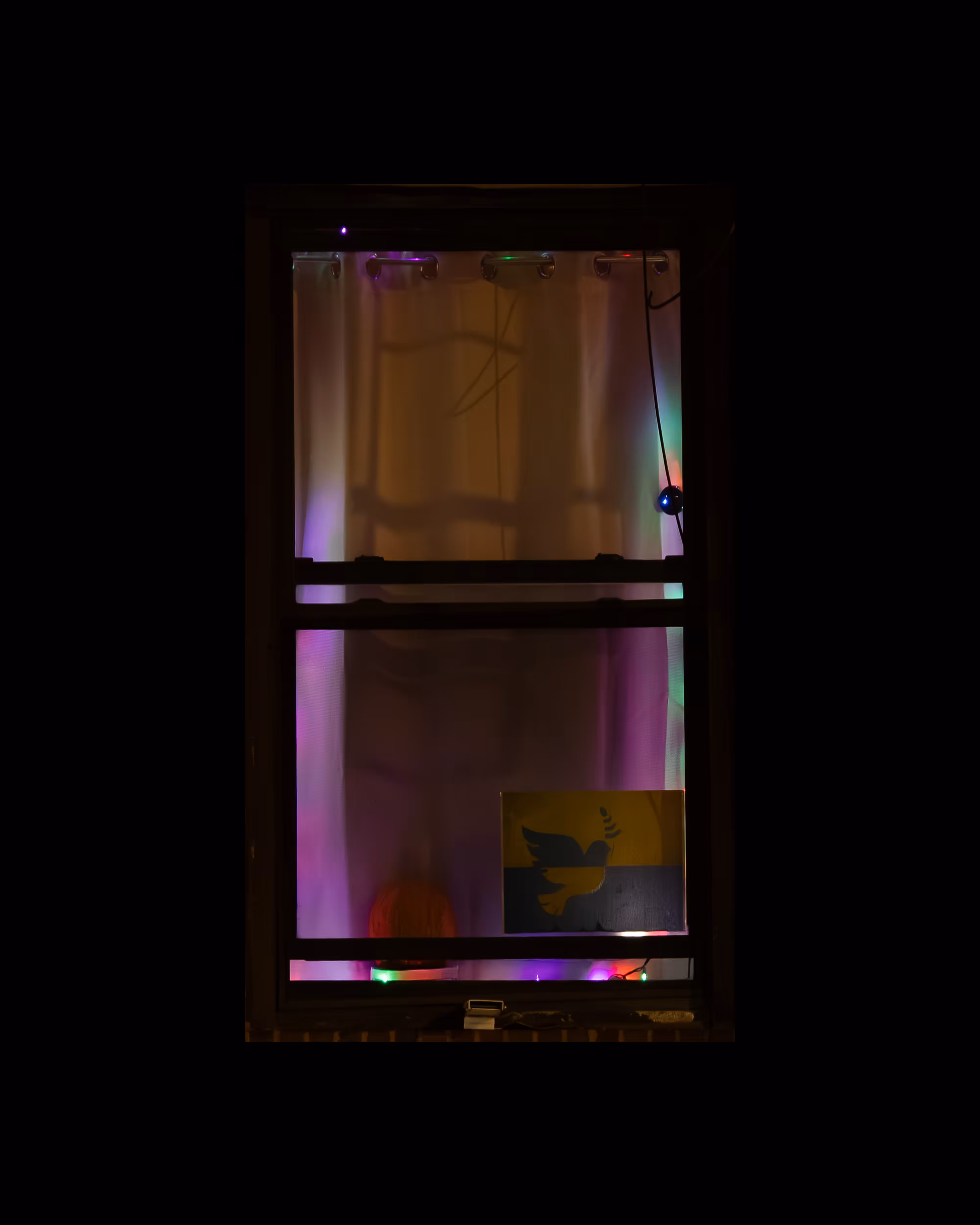 WINDOW 444