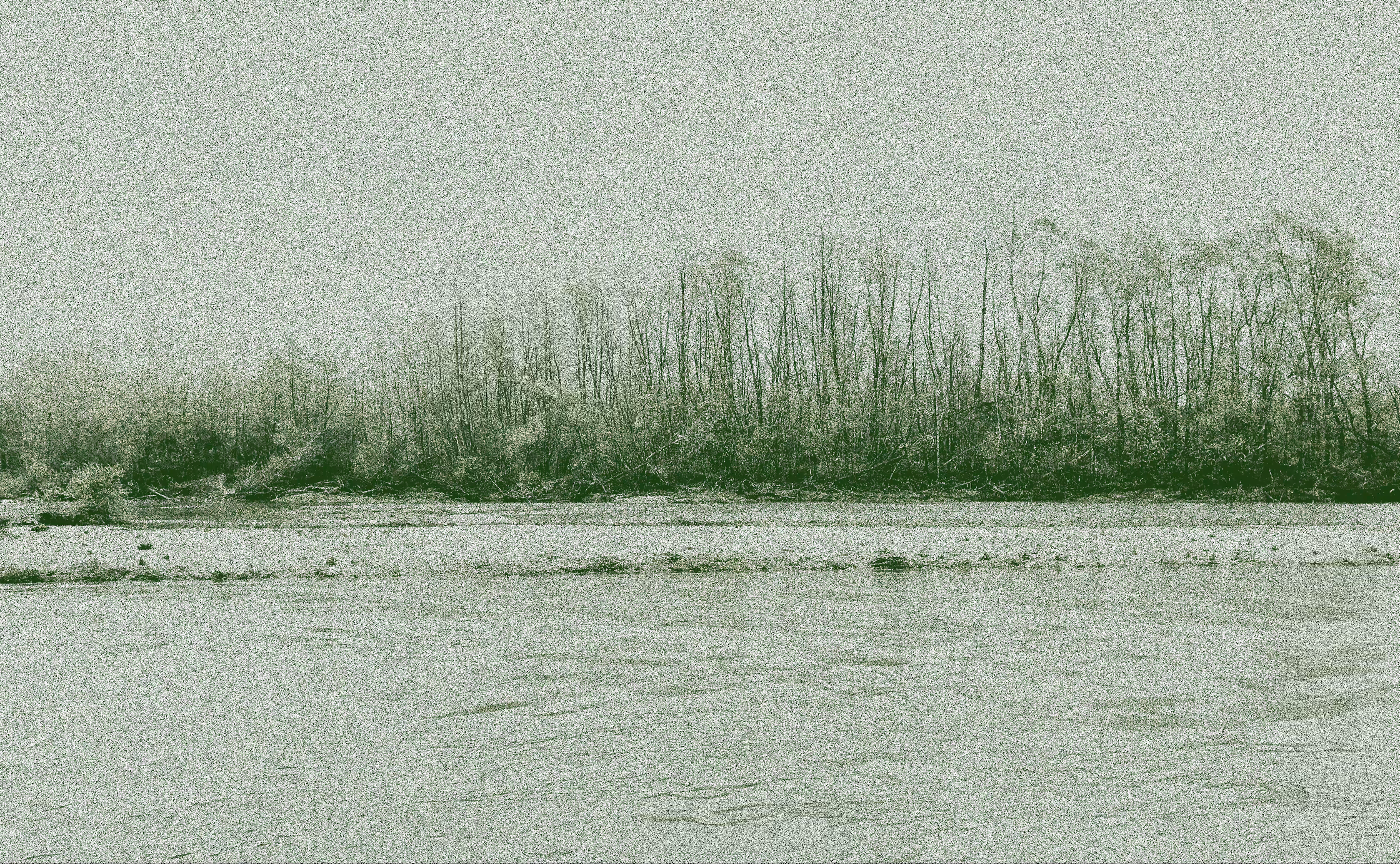 Verdant Divide