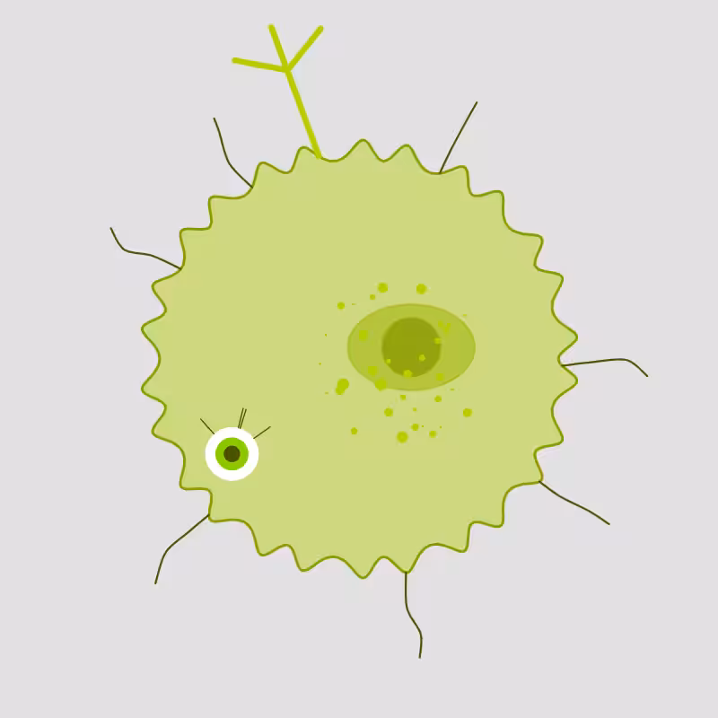 Virus generative #11