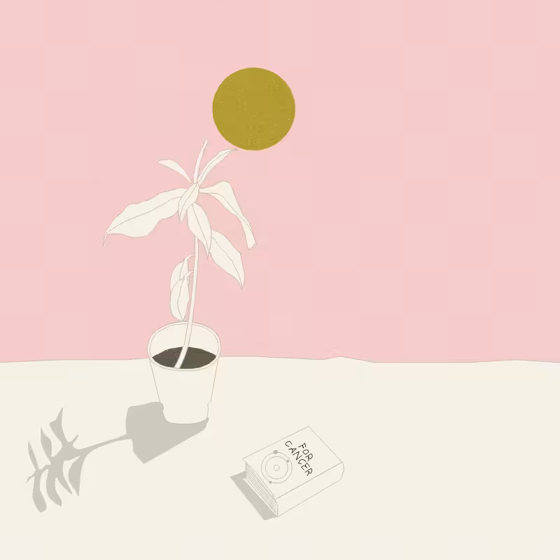 Still Life #12 #11