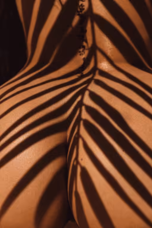Panthera tigris 1