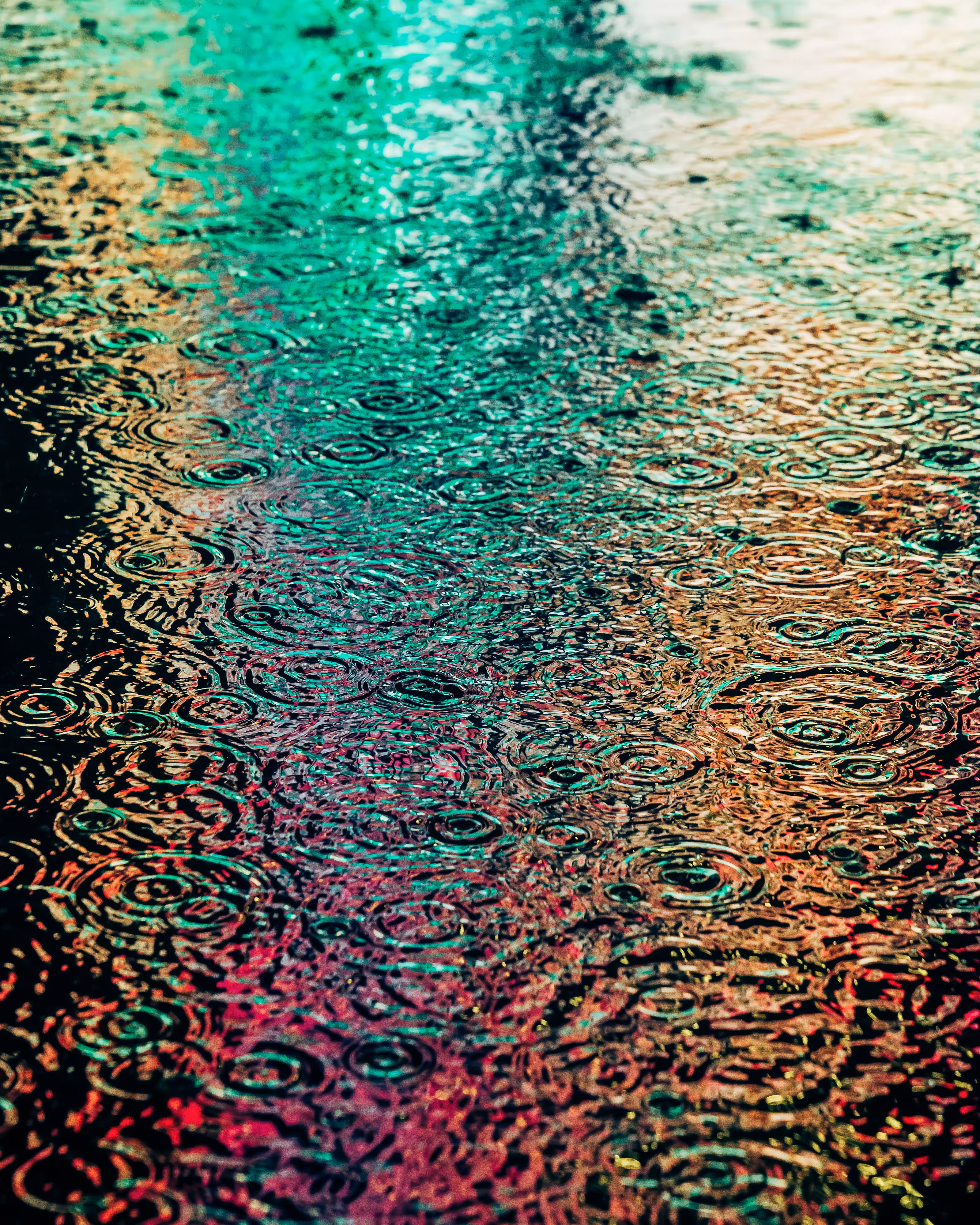 DRIP #797