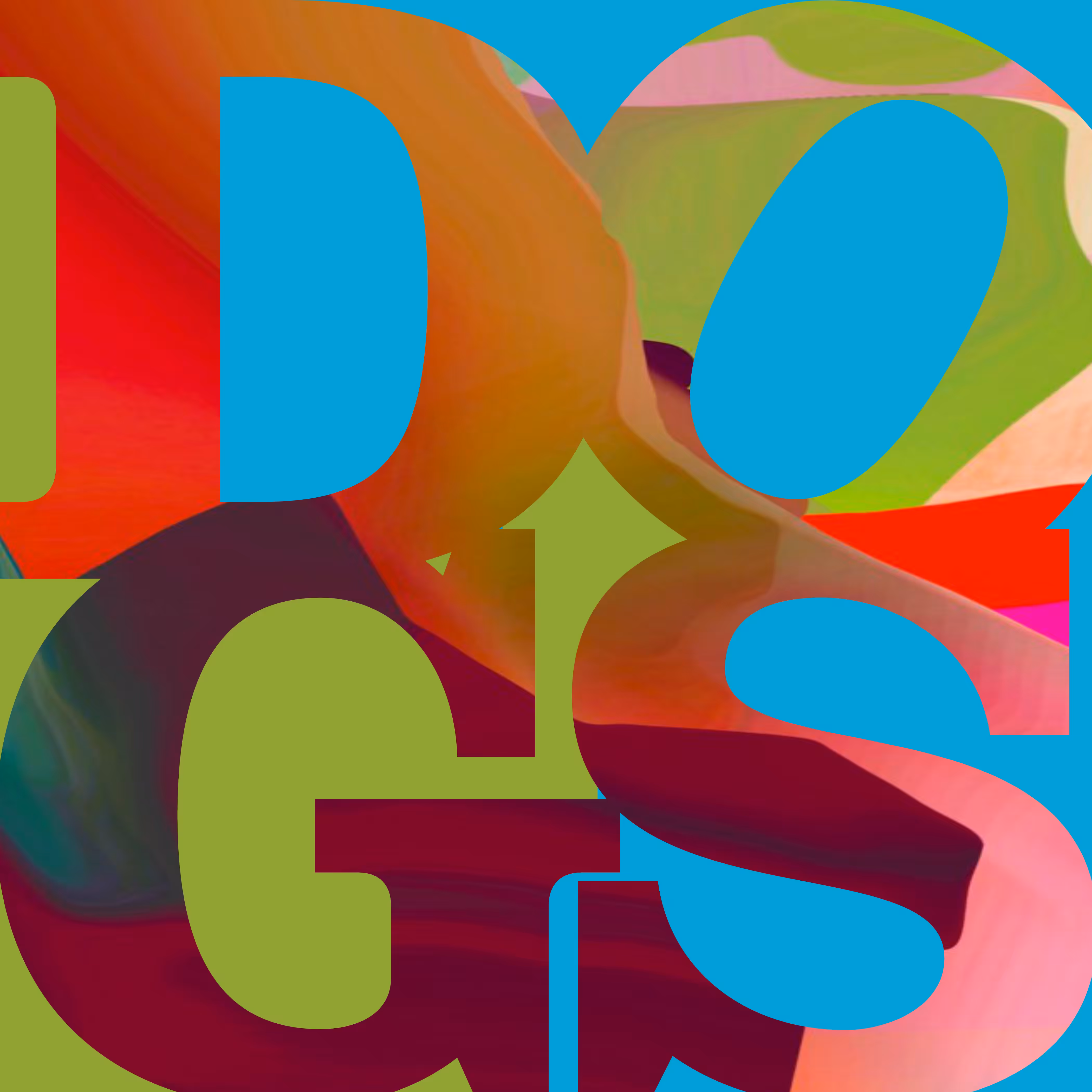 DOGS