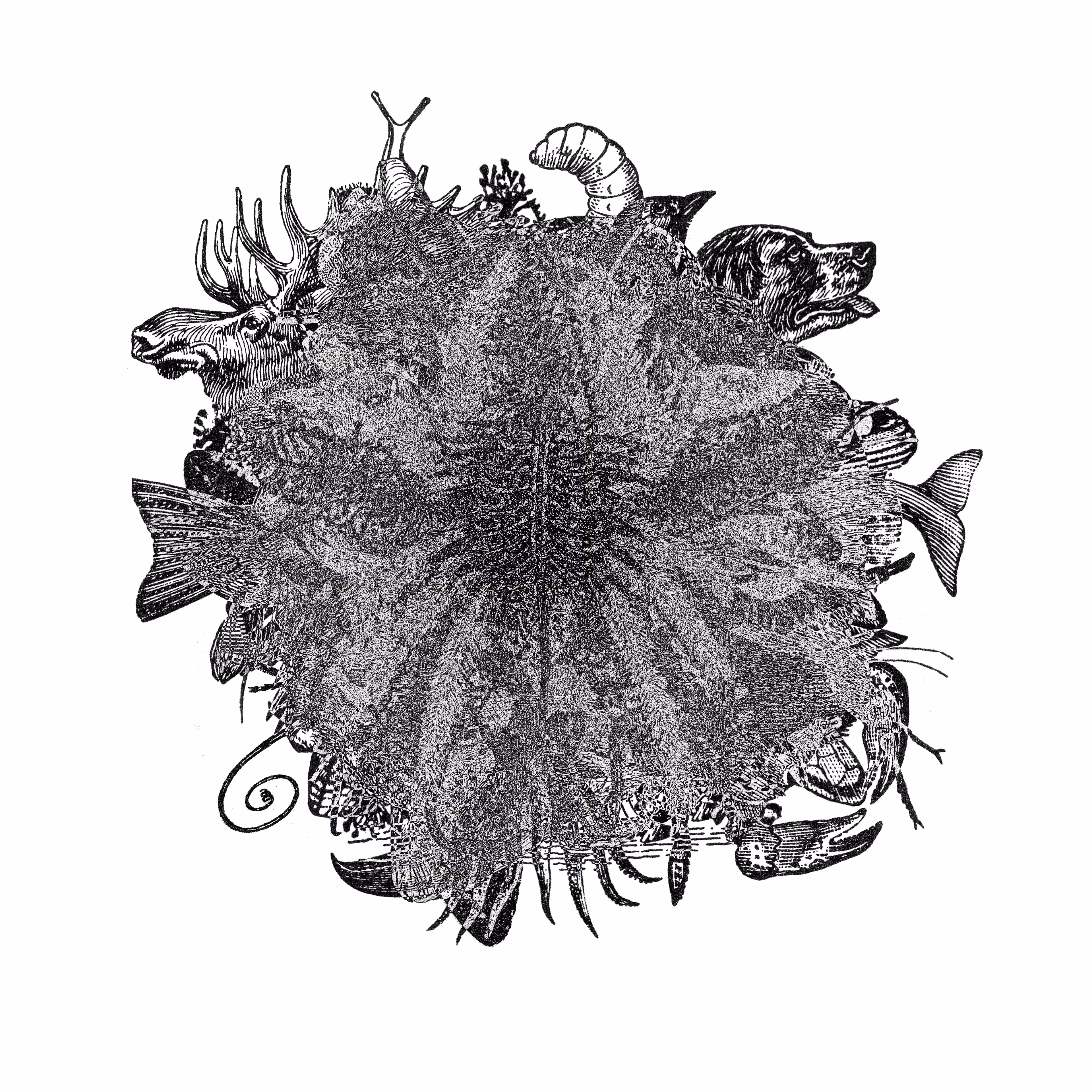 PILE_ANIMALIA