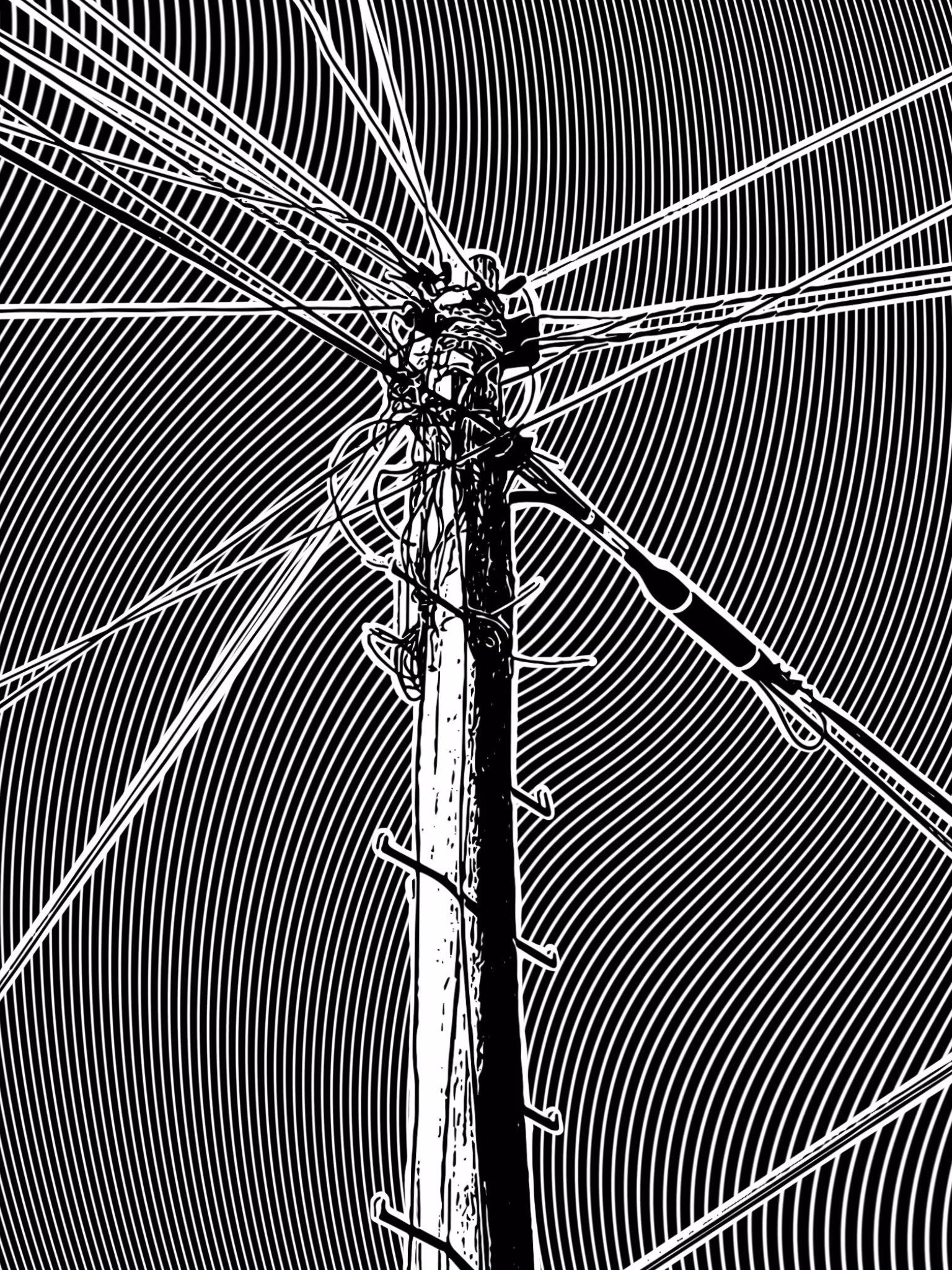 Cables V18