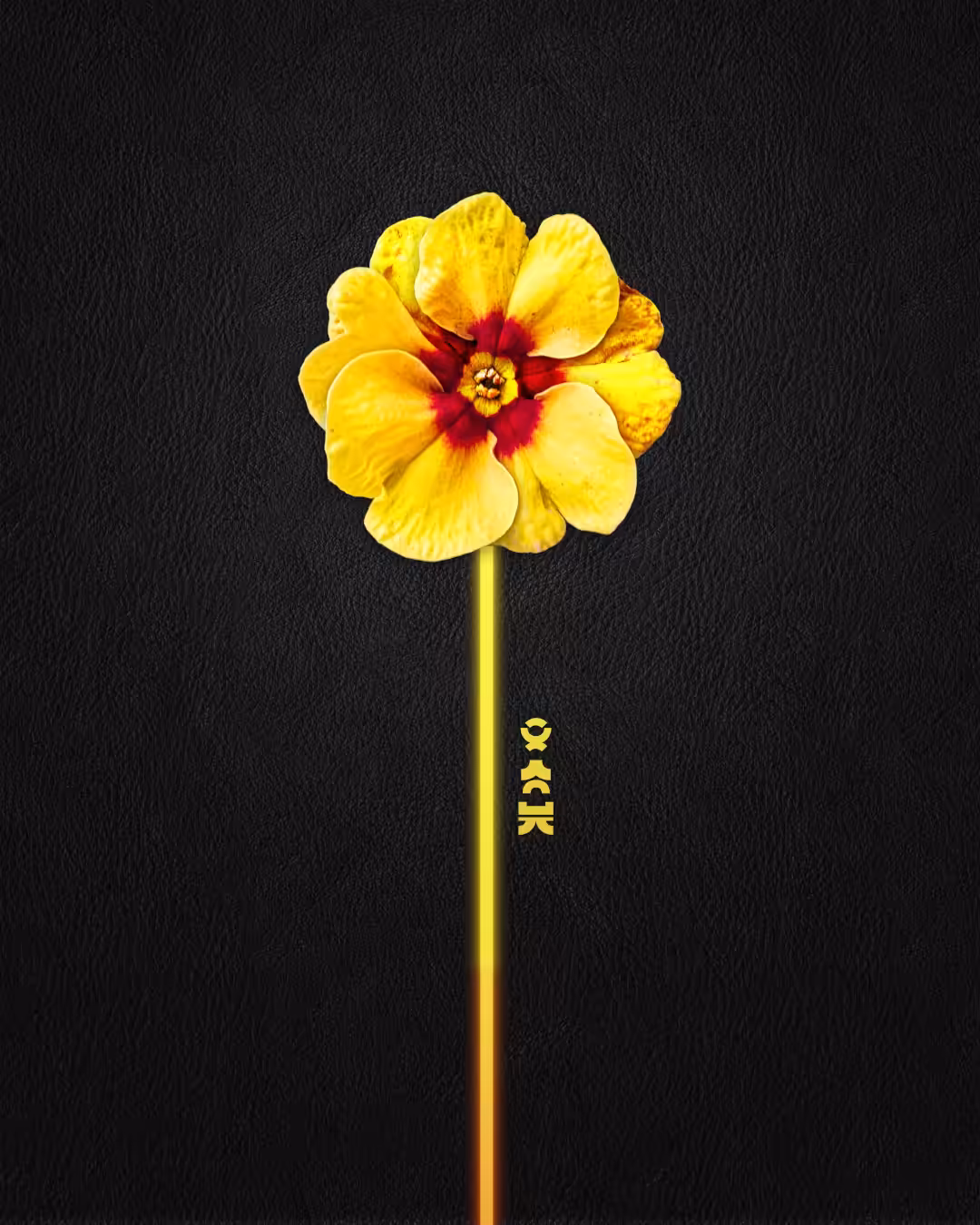Primary Nature Minimal 01 animated