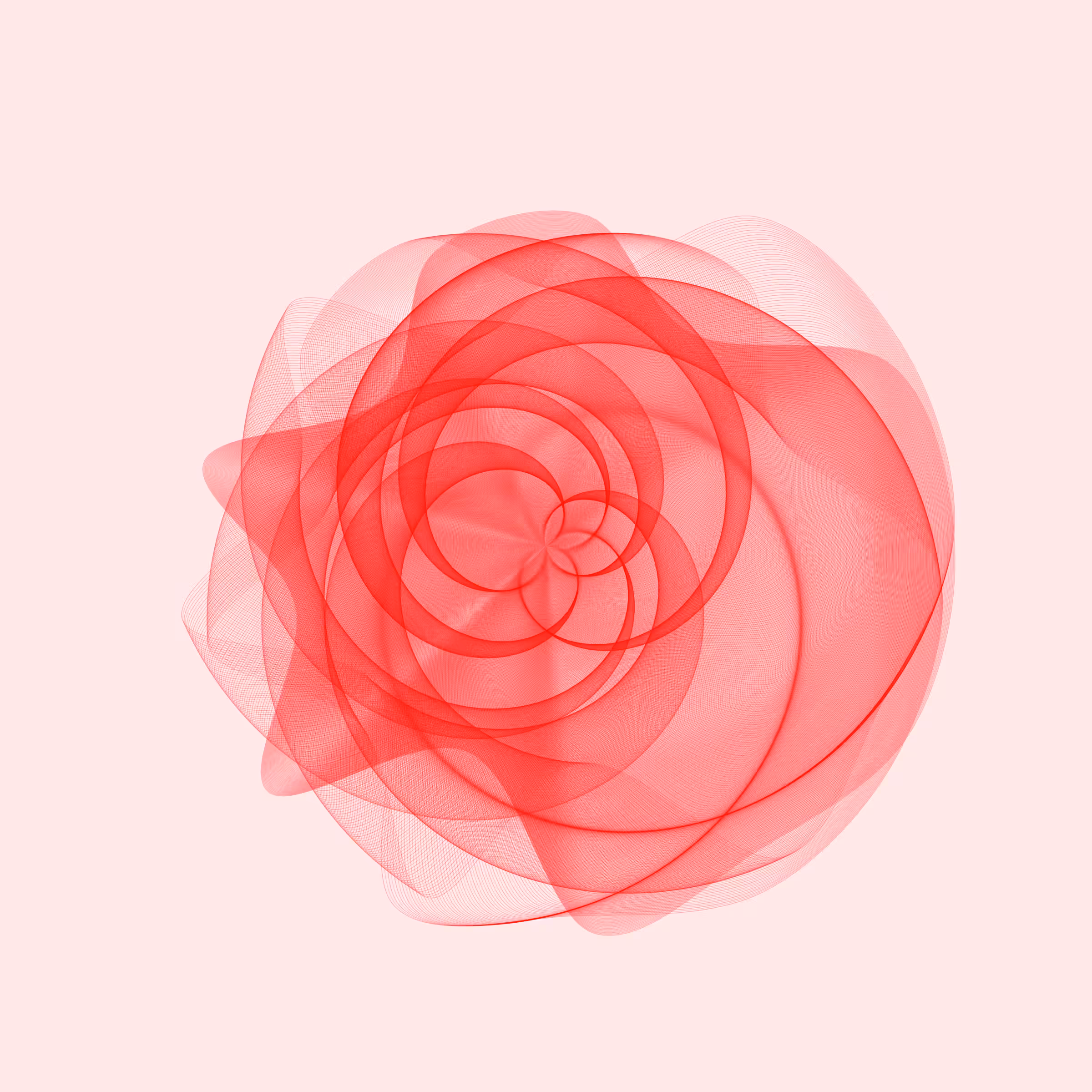 Flowers #5963