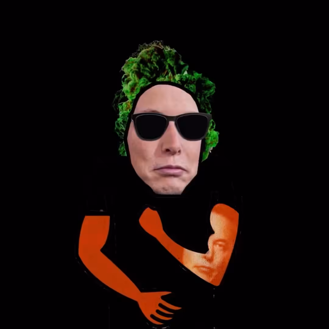 HASHMUSK #163