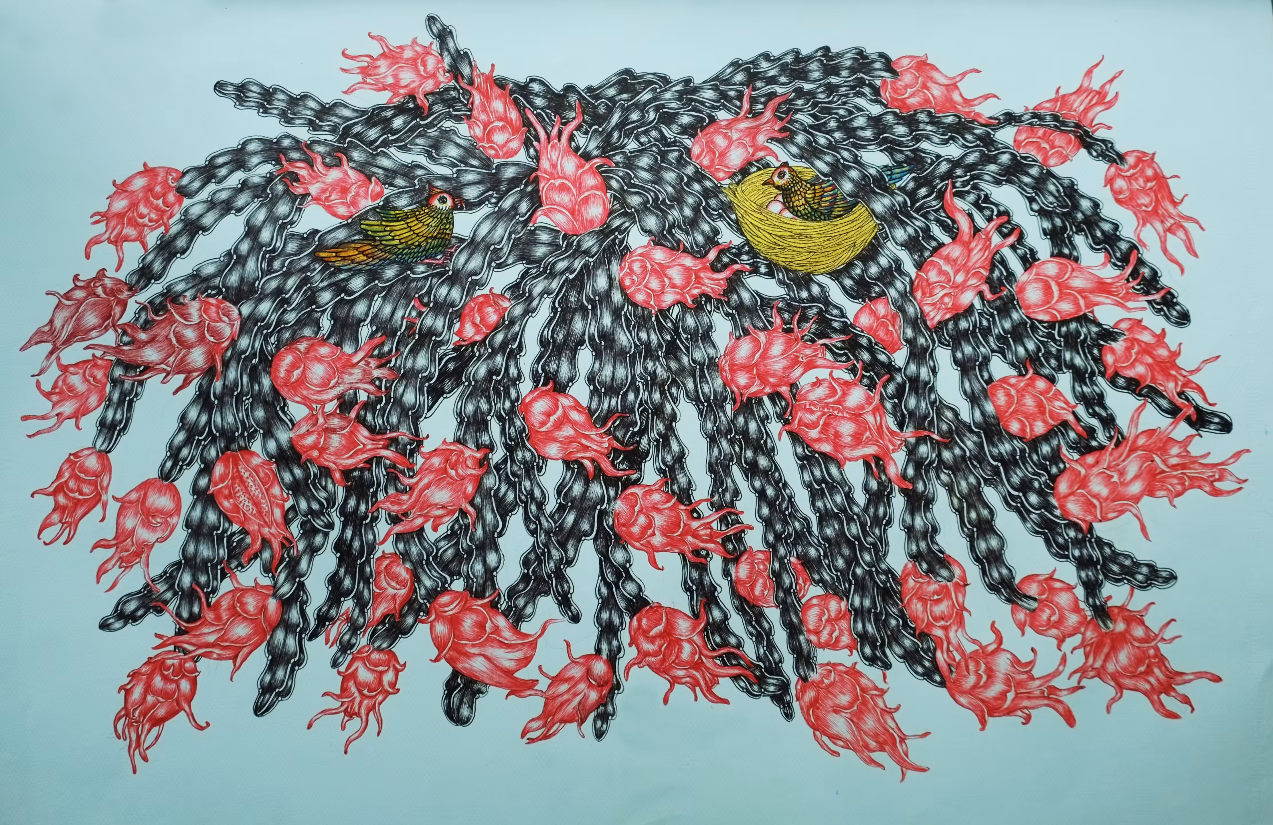 Dragon fruit