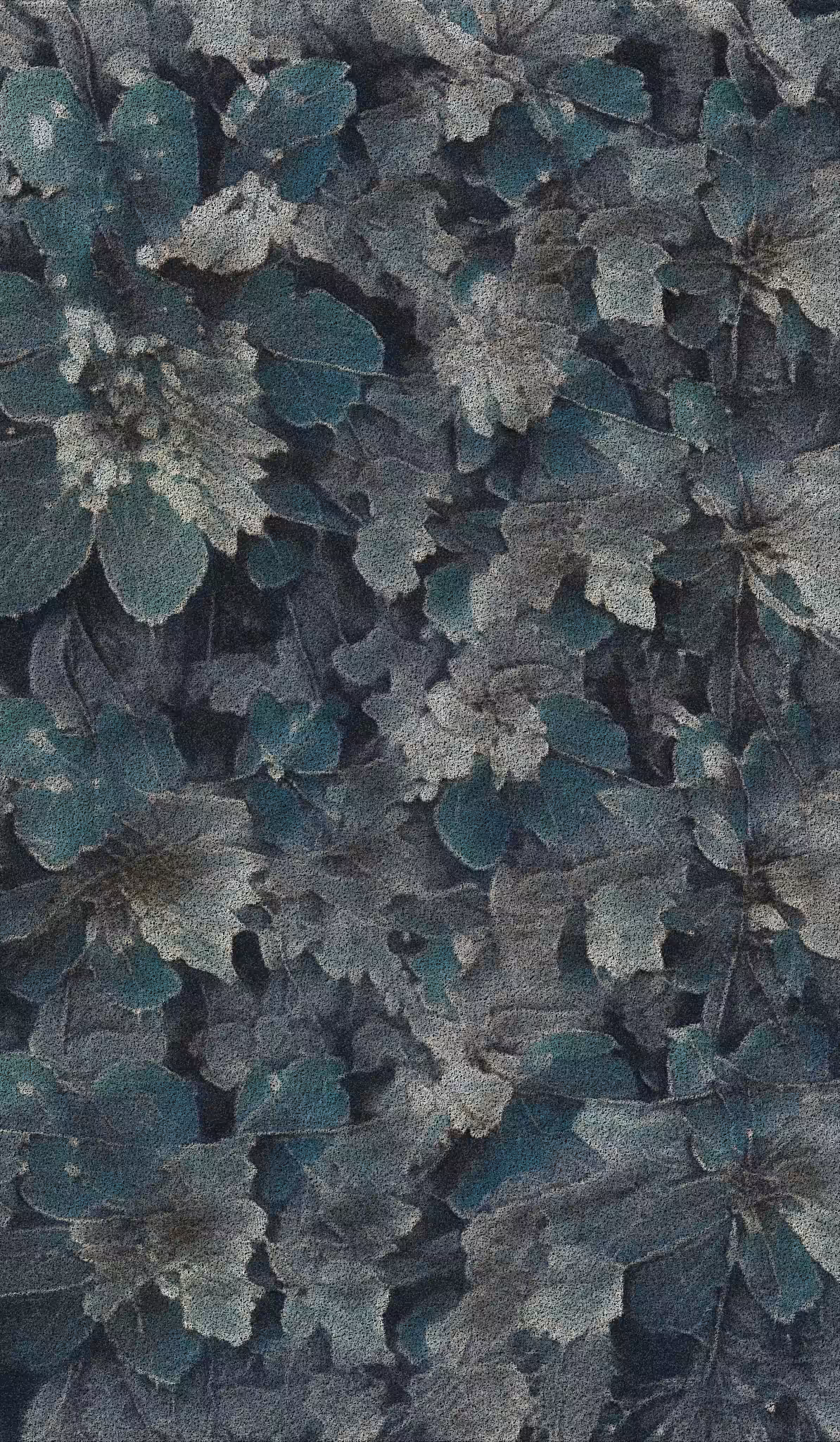 APPARATUS-VITIS: Apparatus Vitis #21