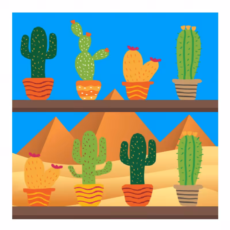 Cactus Shelf #1