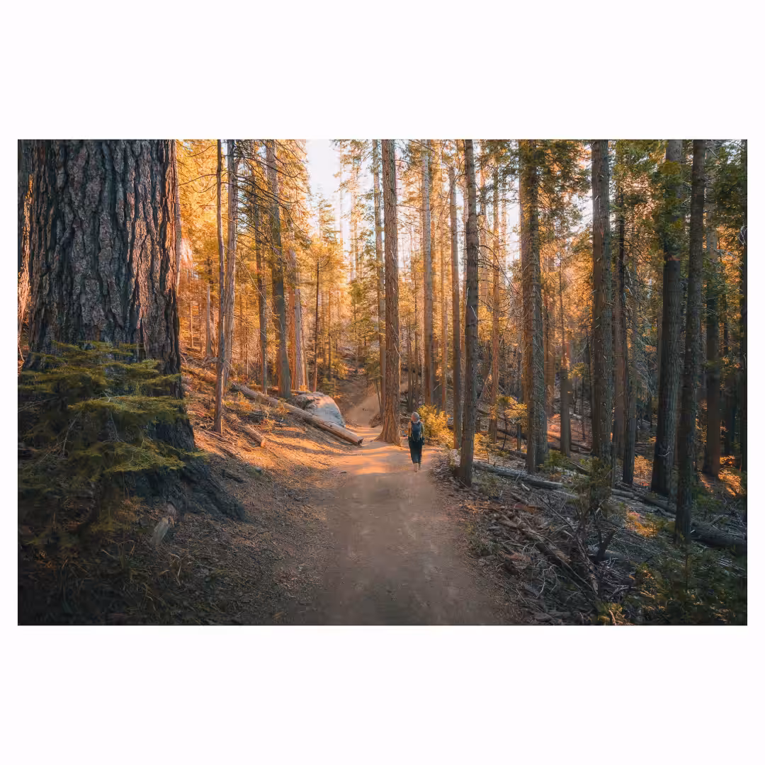 Forgotten Frames — 004