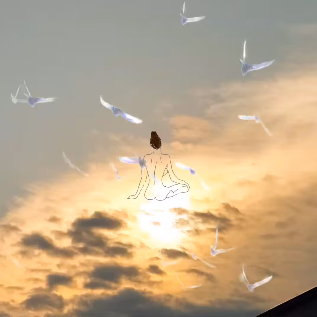 Fly away