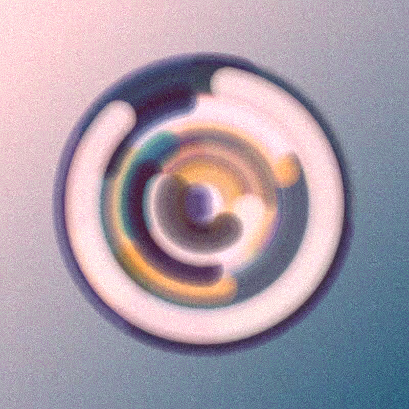 Wisp #212