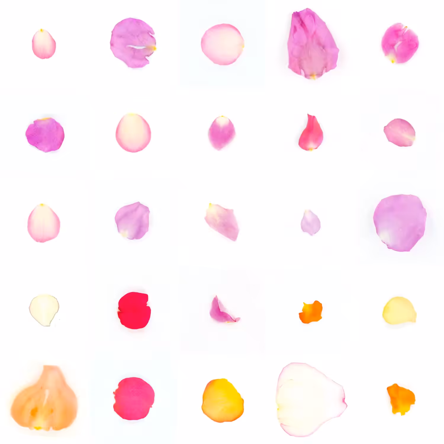 Infinite Petals 5x5#20421